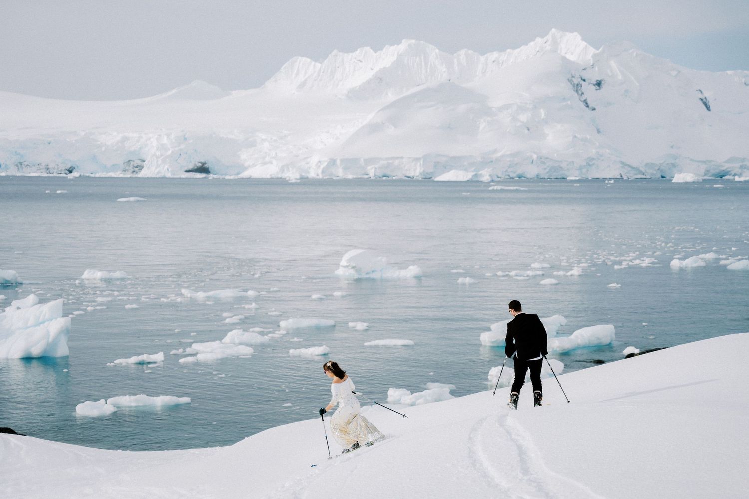 A figure and dog walk along a snowy shoreline with icebergs floating in the Antarctic waters.