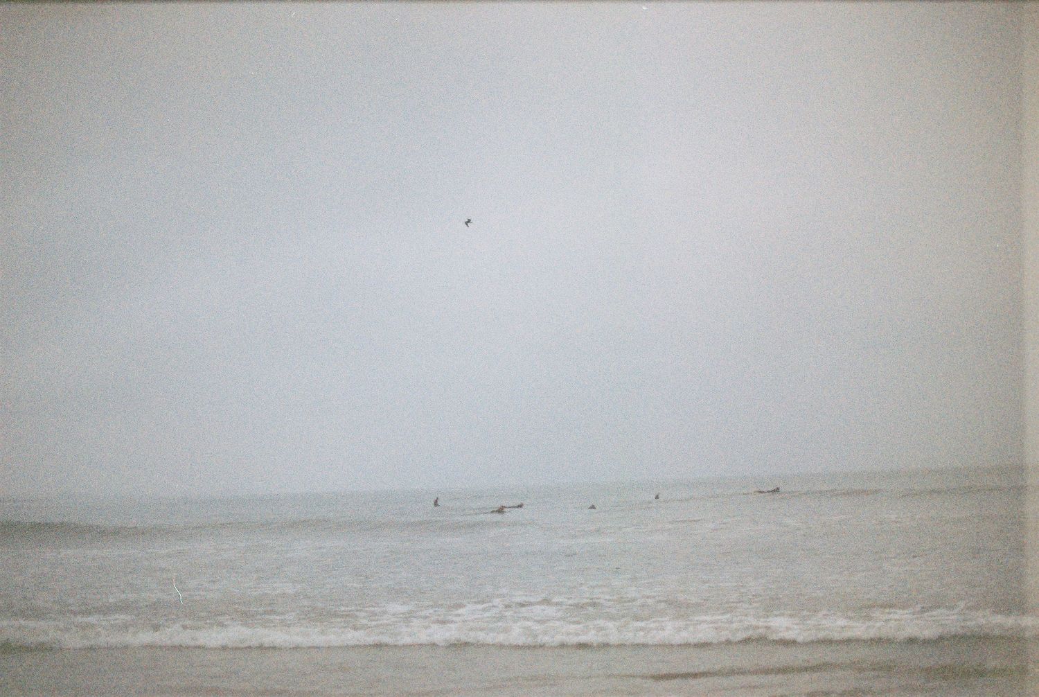 Misty ocean beach scene with calm waves, surfers in the distance, and a bird flying in the overcast sky.