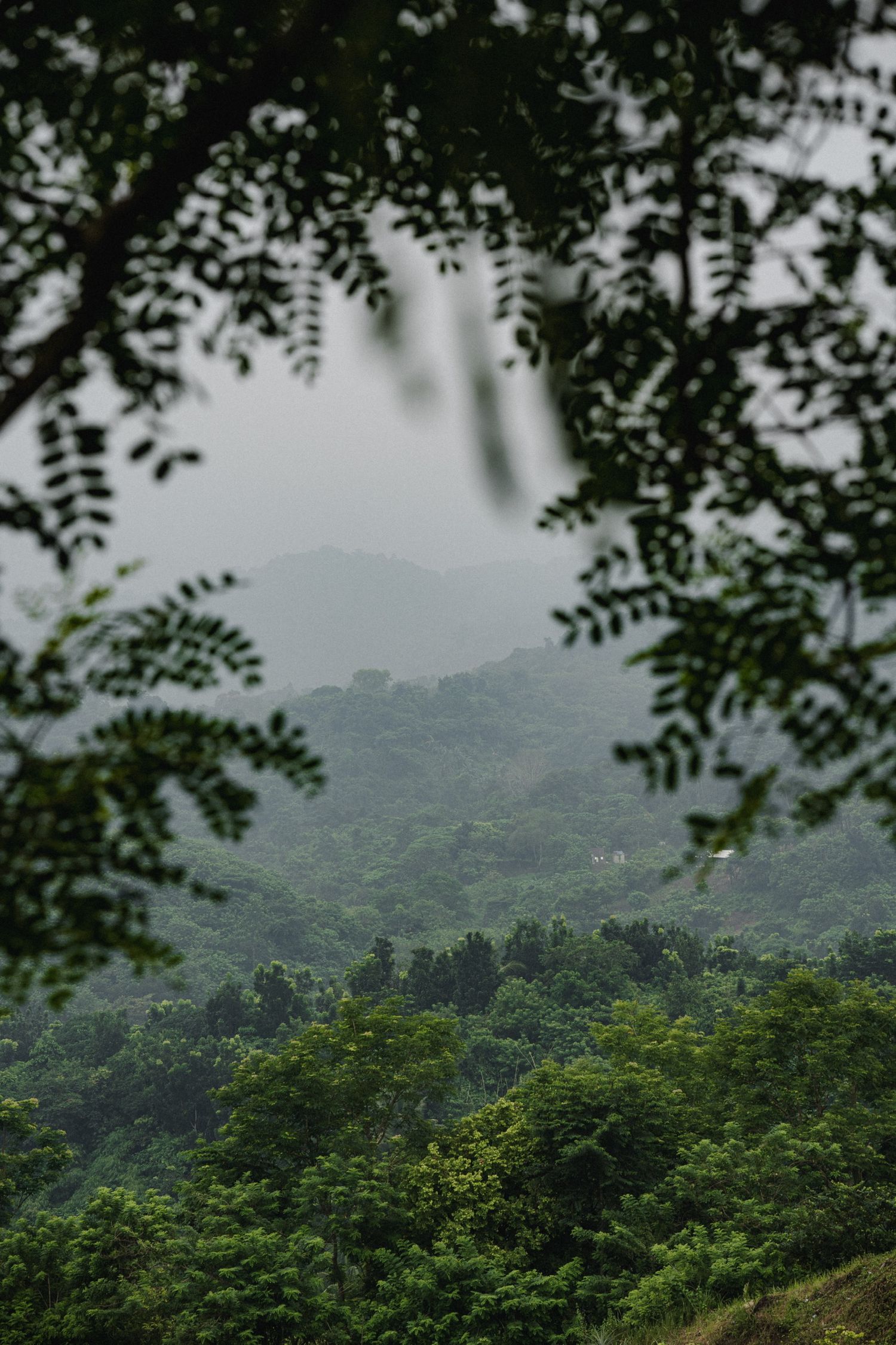 Mountains in the Philippines