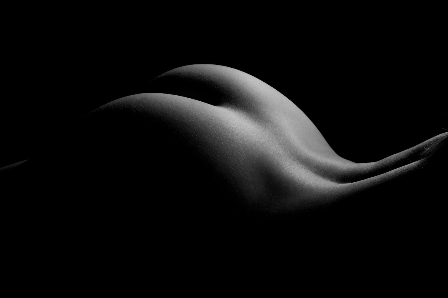 Black and white fine art nude bodyscape highlighting feminine curves with dramatic chiaroscuro lighting technique. Boudoir photography
