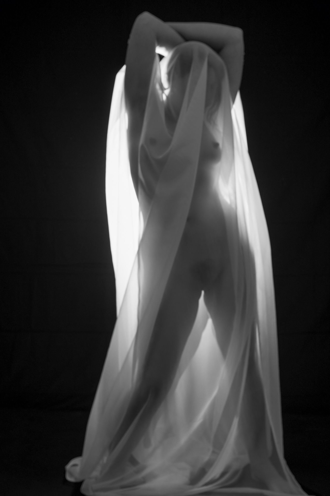 Black and white artistic silhouette of a woman draped in sheer white fabric. Boudoir photography Christchurch