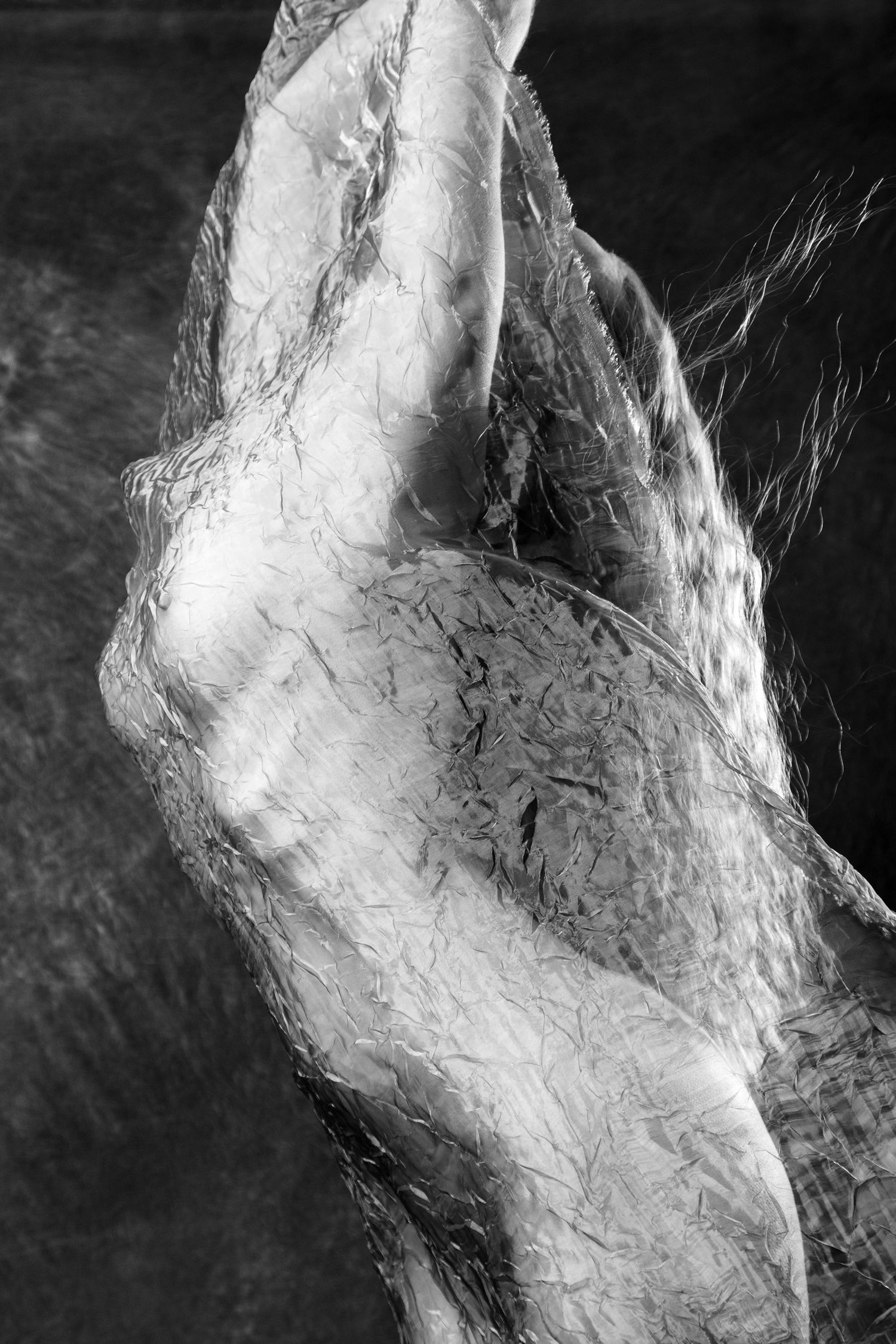Close-up black and white photo of a hand wrapped in crinkled transparent fabric. Boudoir photography Christchurch