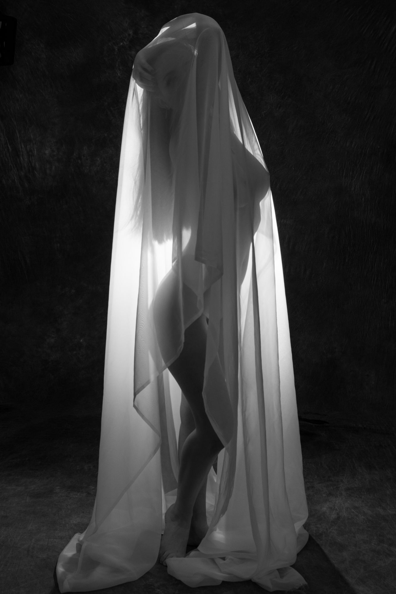 Black and white silhouette of a standing figure fully draped in white fabric. Boudoir photography Christchurch