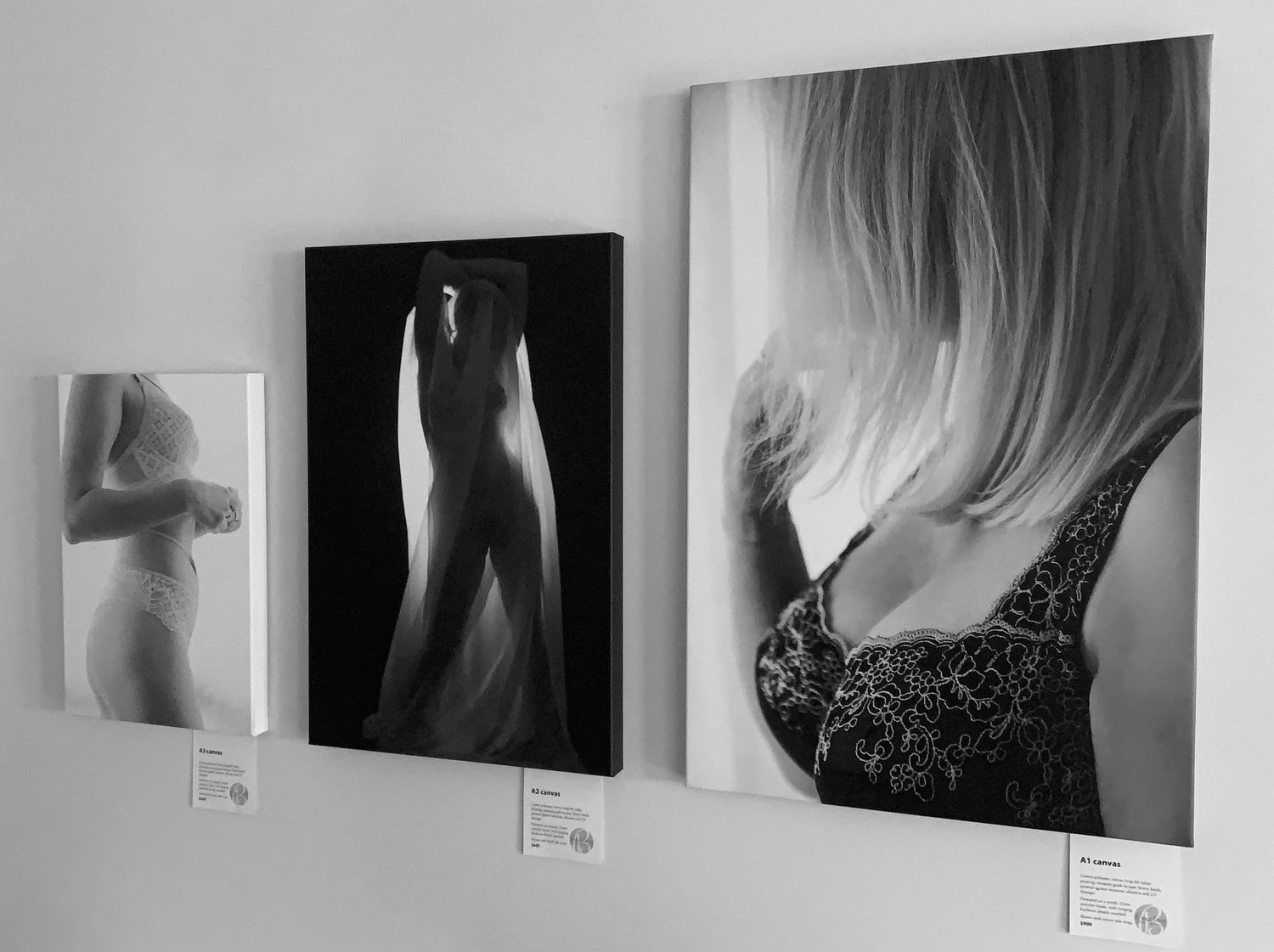 Three black and white fine art photography prints displayed on a white gallery wall featuring elegant feminine figure studies.