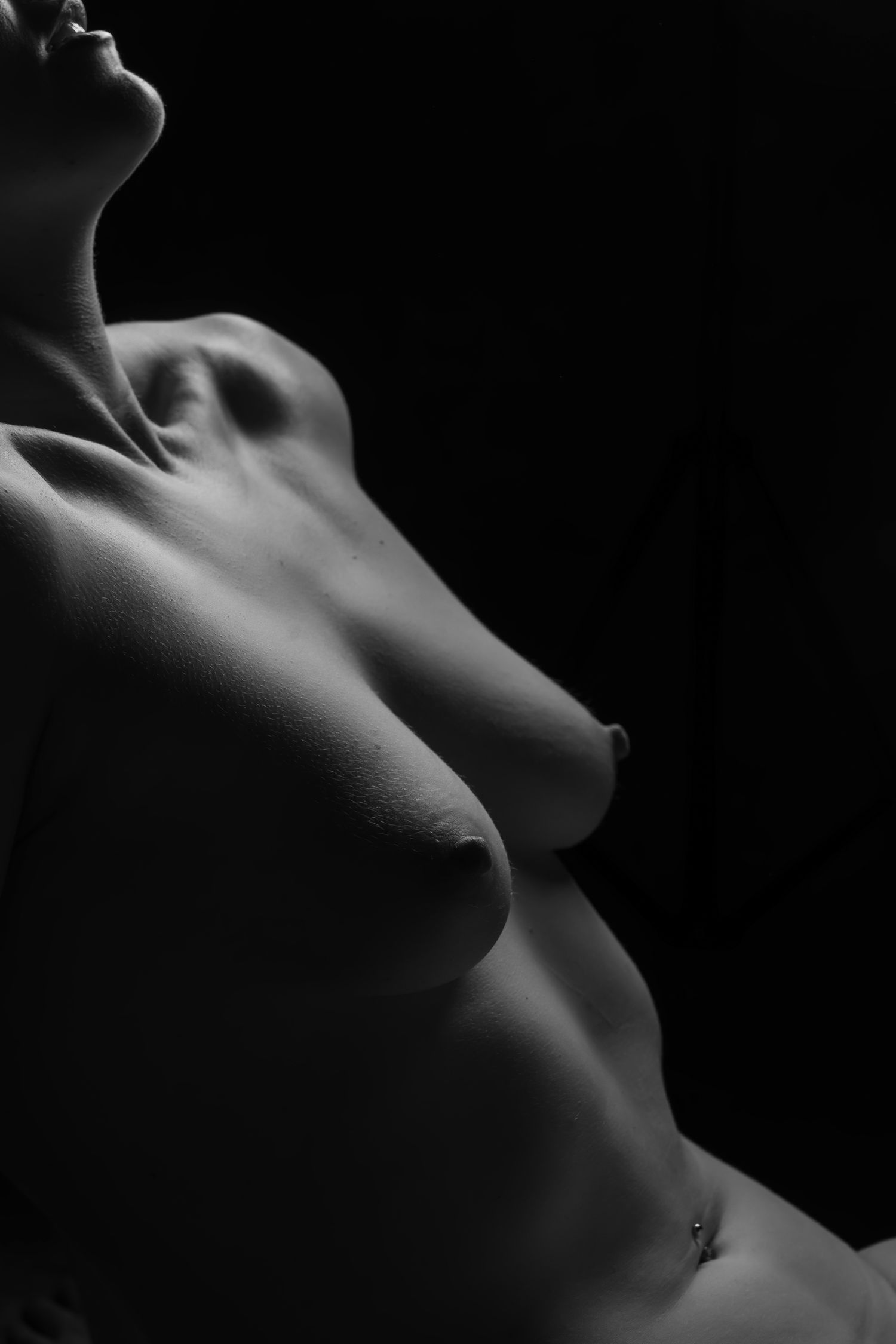 Black and white fine art nude torso photograph with dramatic side lighting emphasizing feminine form and curves. Boudoir photography
