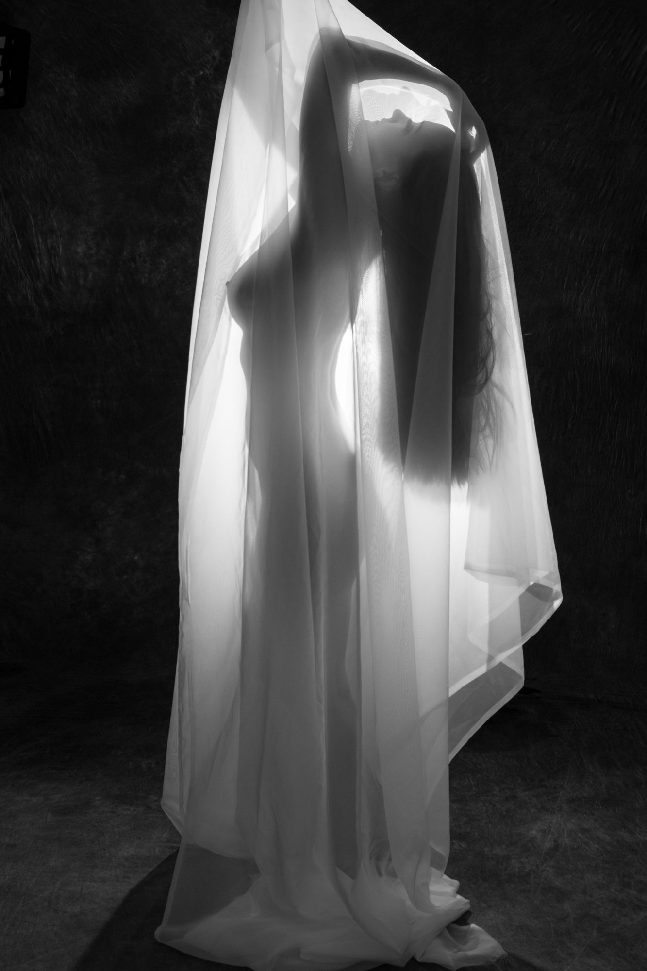 Artistic black and white silhouette of a woman draped in sheer white fabric against a dark background. Boudoir photography Christchurch