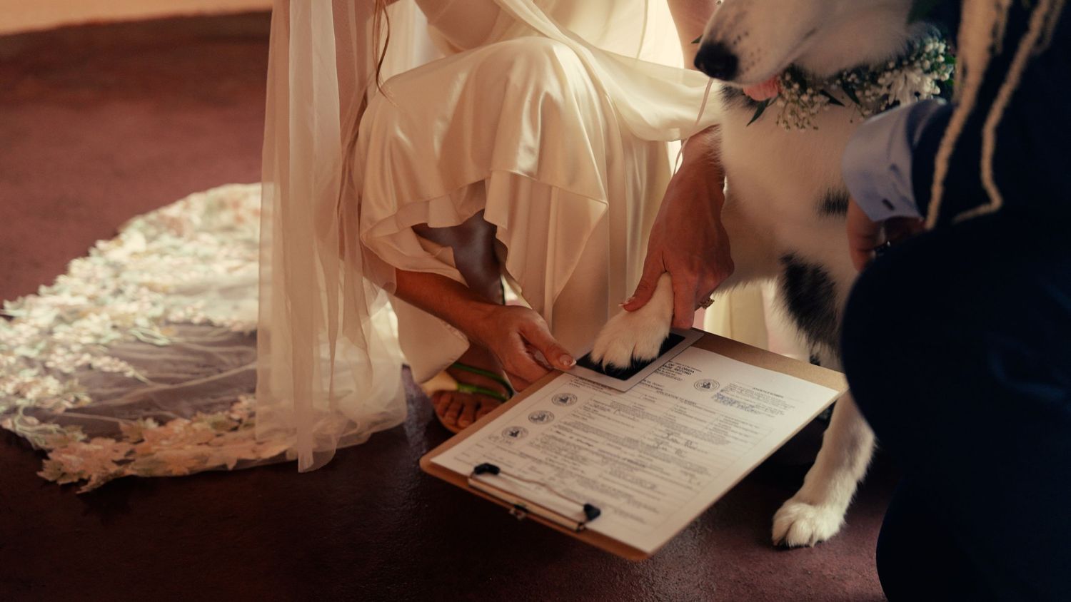 Dog stamping wedding certificate clipboard held by bride in white lace wedding dress.