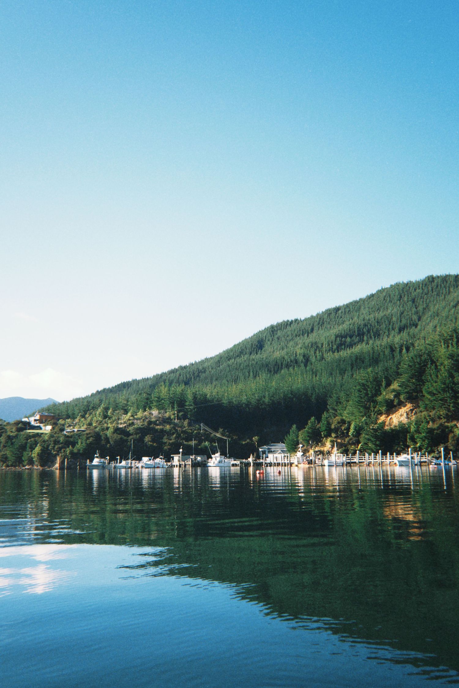 Calm lake reflecting green forested hills with marina and blue sky in background.