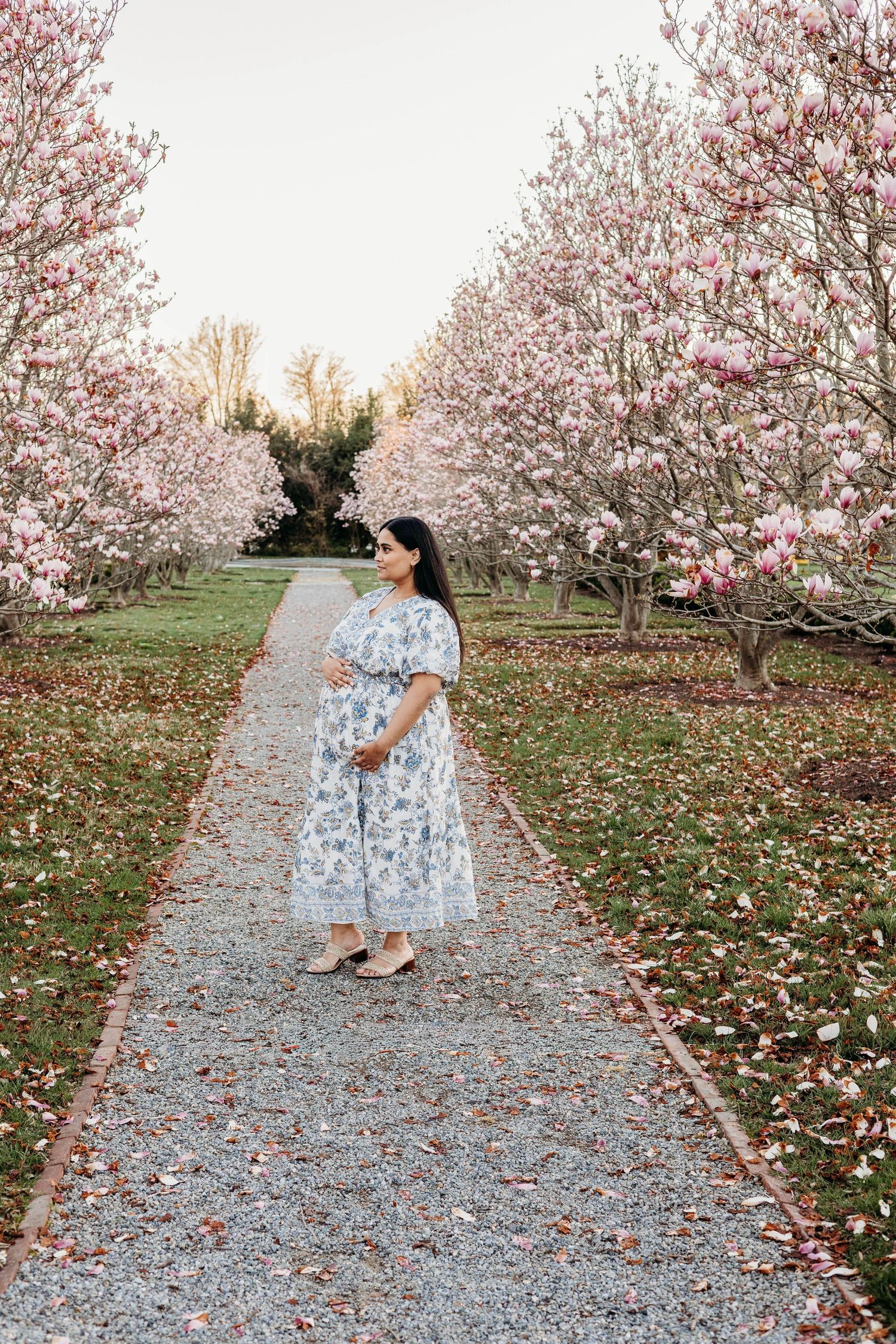 Beautiful pregnant woman in a floral dress stands on a gravel path surrounded by pink magnolia blossoms.