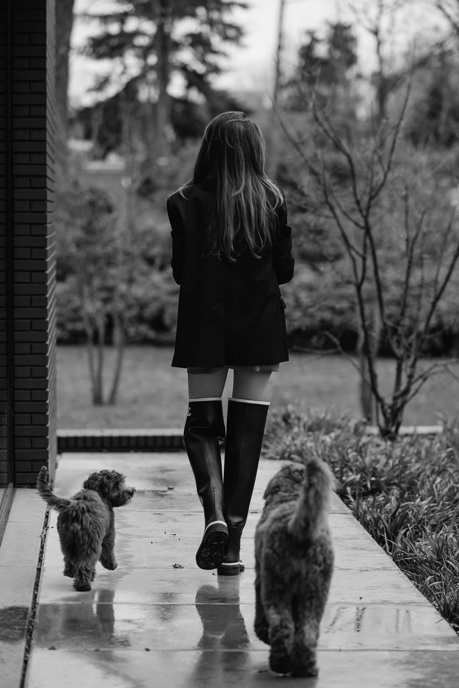 Black and white photo of a person walking with two cats on a wet sidewalk surrounded by trees.