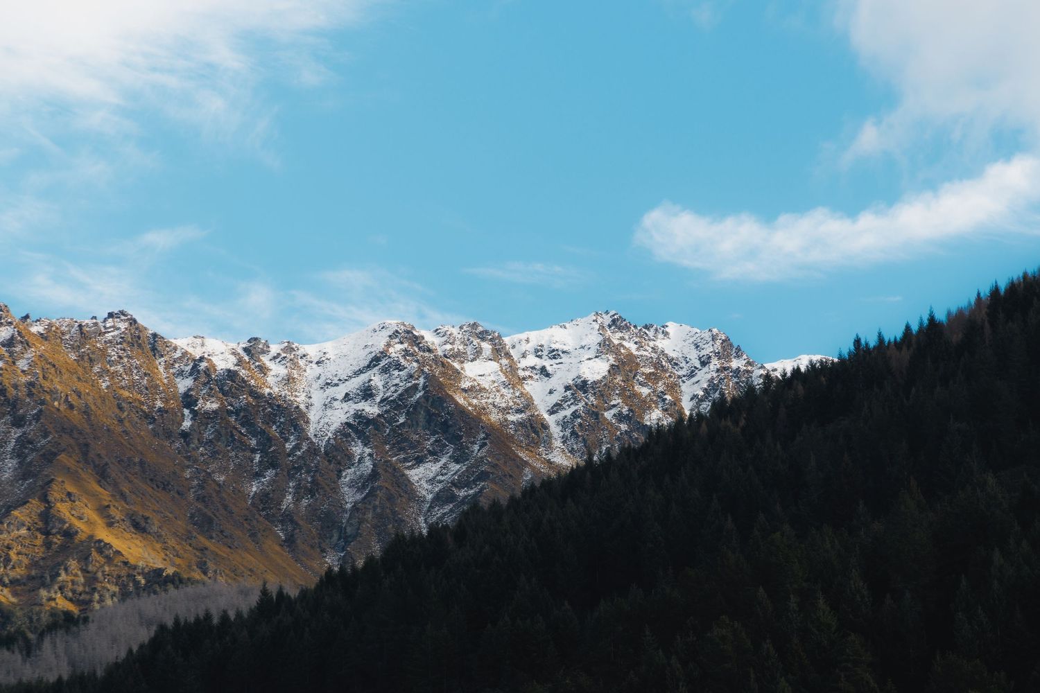 Dark pine forest in shadow beneath a sunlit snow-covered mountain range near Queenstown, New Zealand.