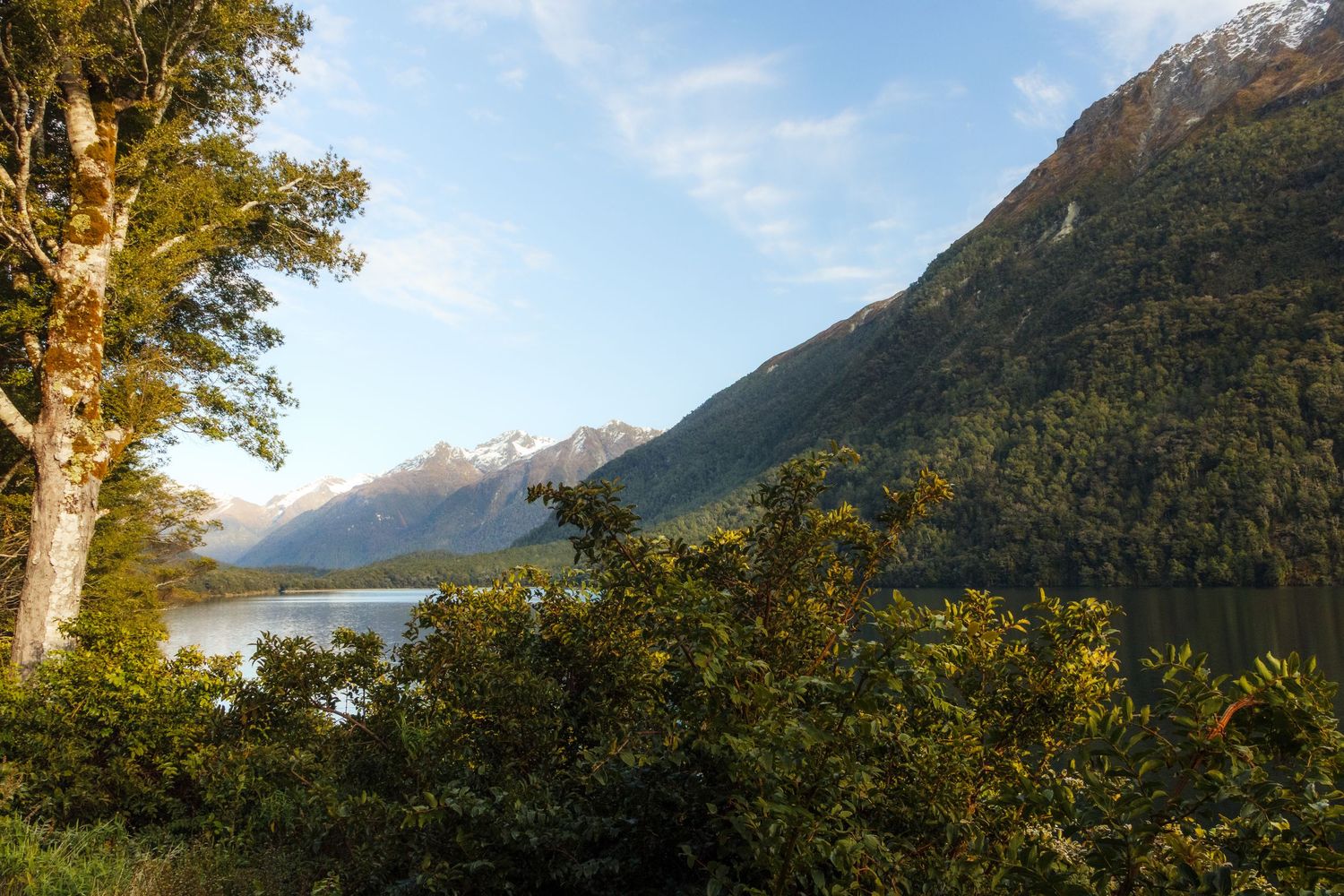 Mountain lake surrounded by native forest and steep alpine peaks in Fiordland, New Zealand.