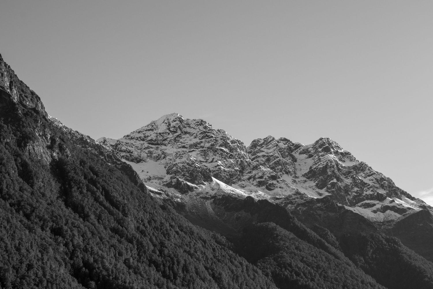 Snow-spotted mountain peaks rise above forested slopes in Fiordland National Park, New Zealand, beneath a clear sky.