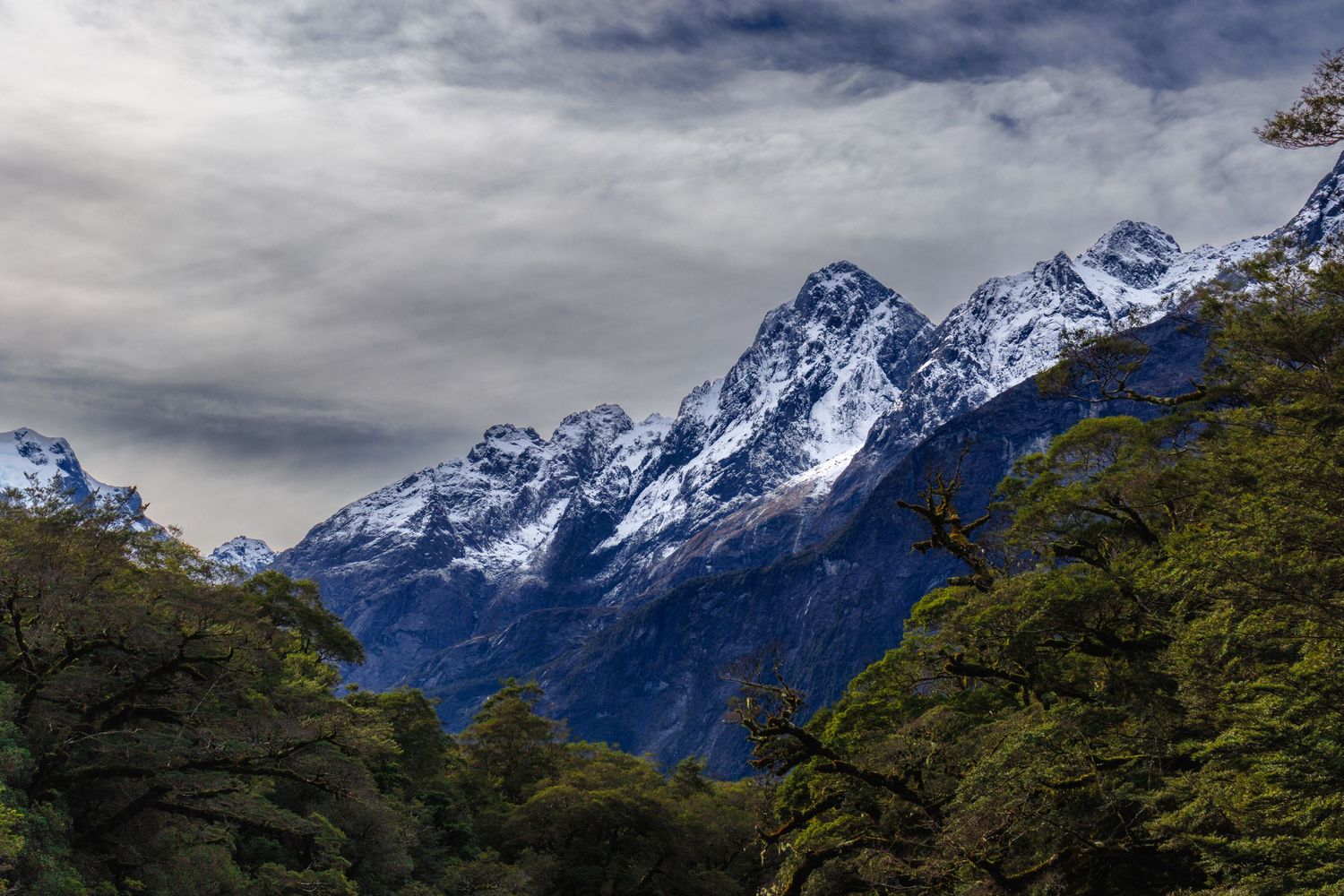 Snow-covered peaks of Mount Tutoko rise above dense native forest beneath dramatic cloud in Fiordland, New Zealand.