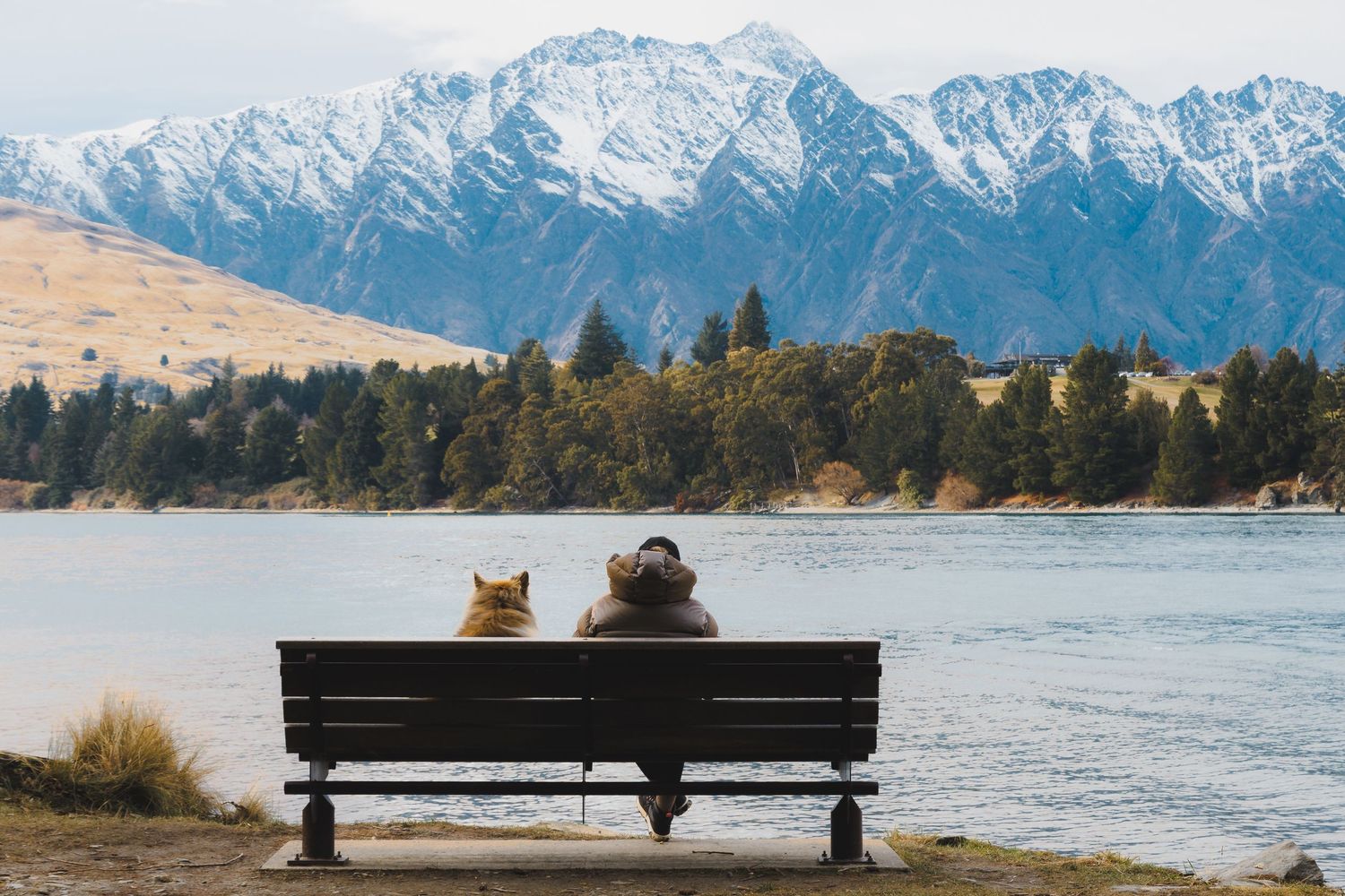 A man and dog sitting on a bench beside Lake Wakatipu with the snow-covered Remarkables rising behind them in Queenstown, New Zealand.