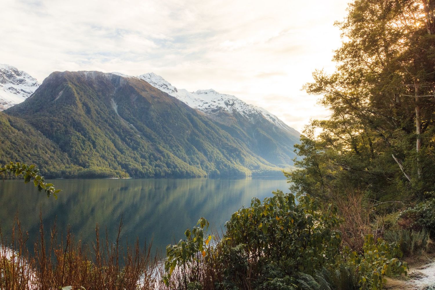 Snow-dusted mountains reflected in calm water beside native forest in Fiordland, New Zealand.