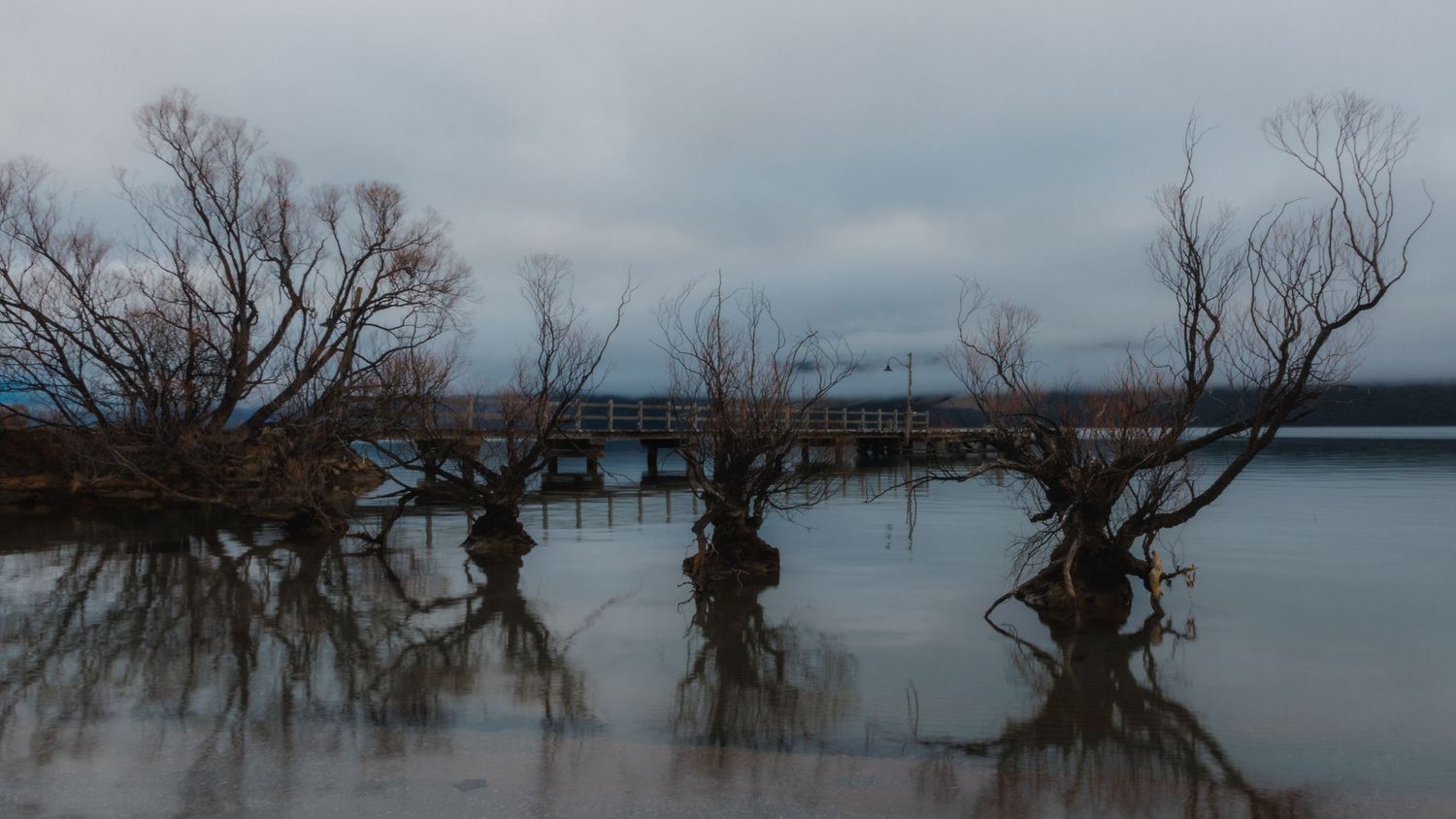 Bare willow trees reflected in calm water beside the Glenorchy lakefront under an overcast sky.