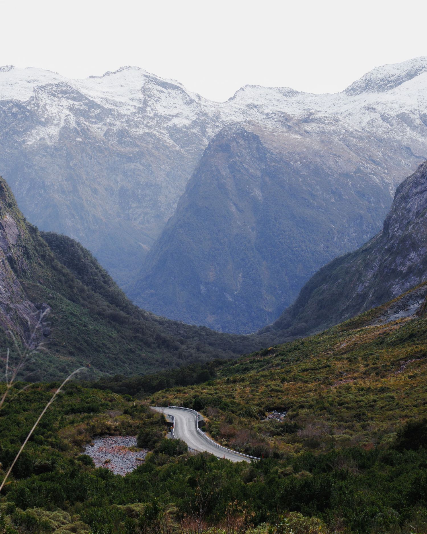A winding road curves through dense native vegetation beneath steep snow-covered mountains in Fiordland, New Zealand.
