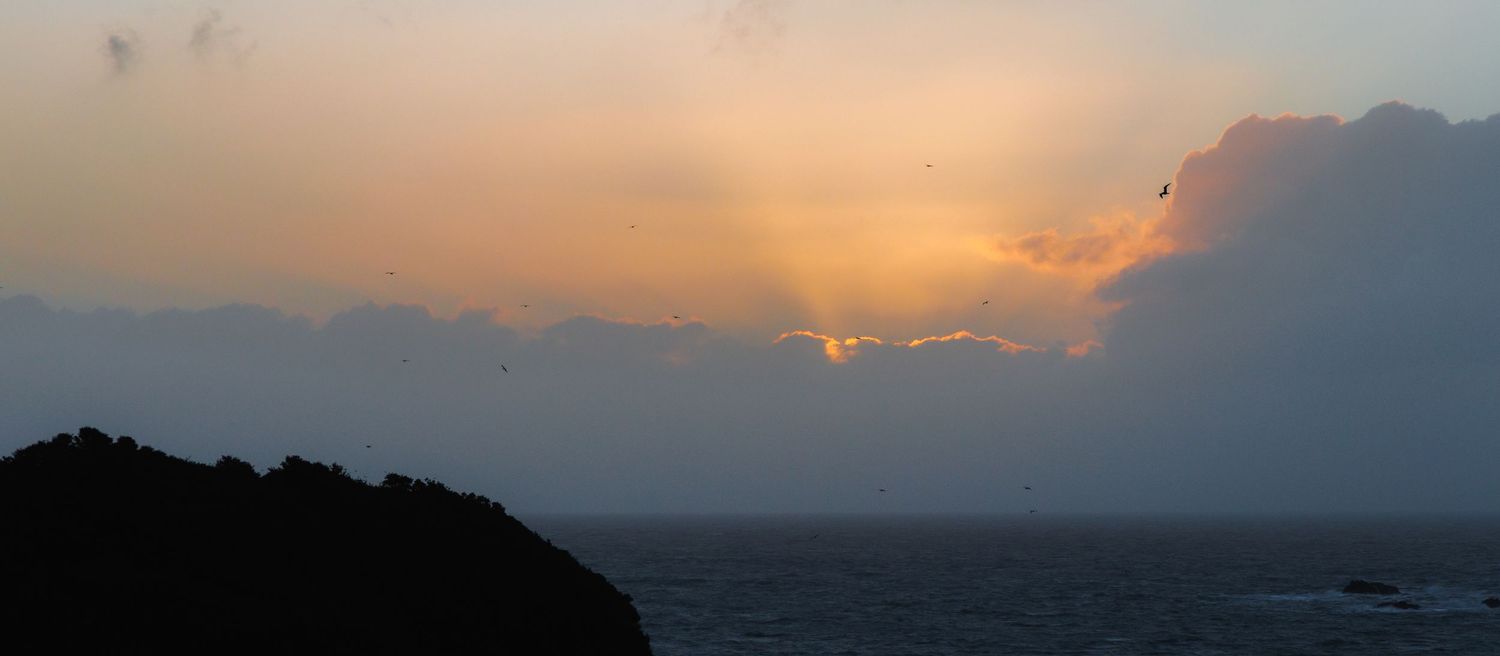 Birds flying over the coast at Back Beach in New Plymouth as warm sunset light breaks through clouds above the Tasman Sea.