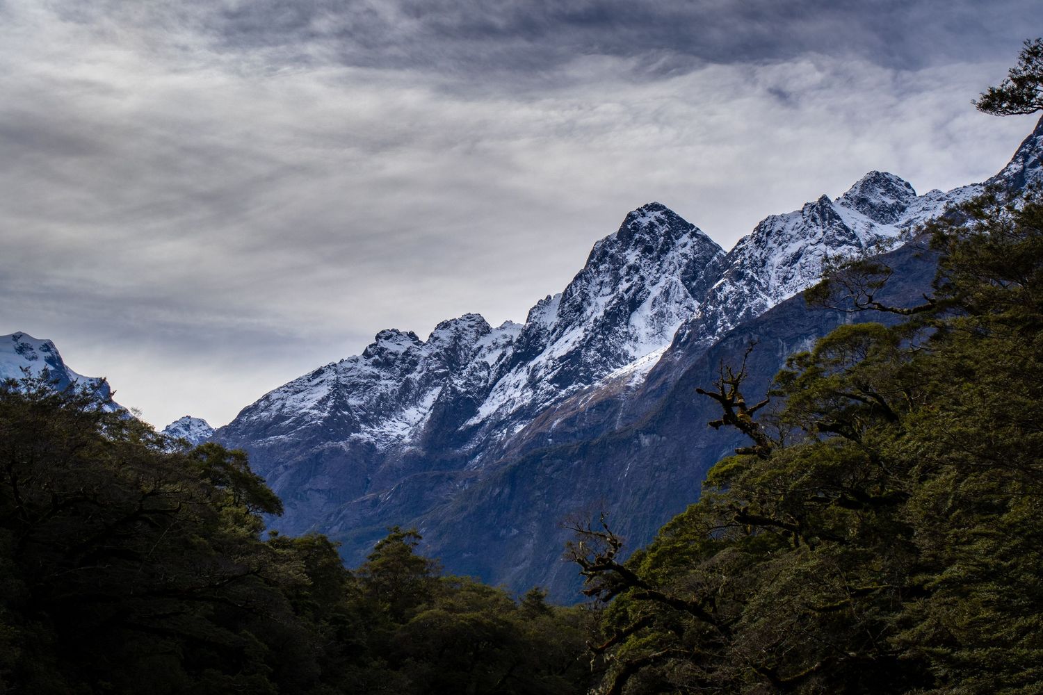Mount Tutoko rises above native forest beneath a cloudy sky in Fiordland National Park, New Zealand.