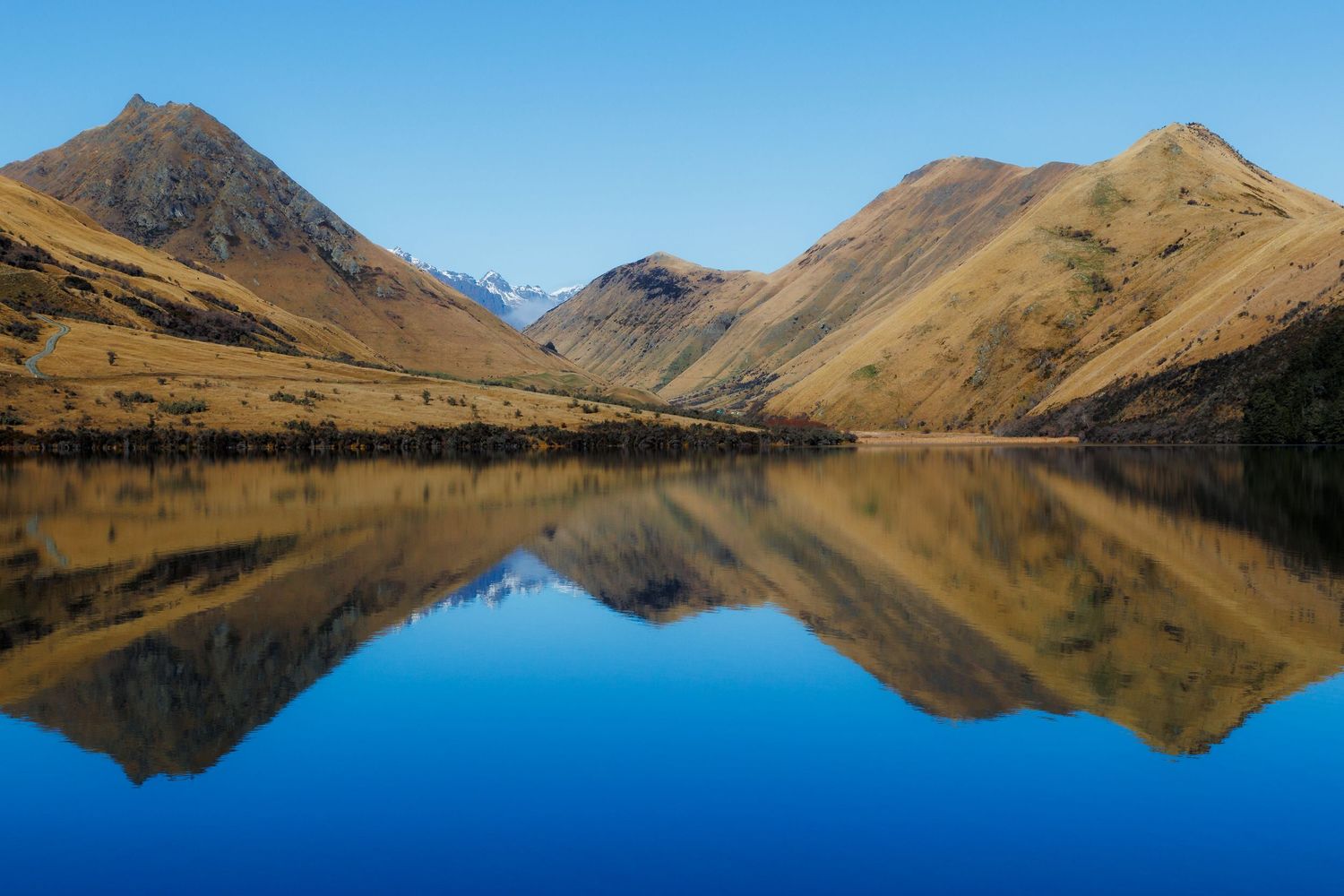 Golden hills and distant snow-covered mountains reflected in the still blue water of Moke Lake near Queenstown.