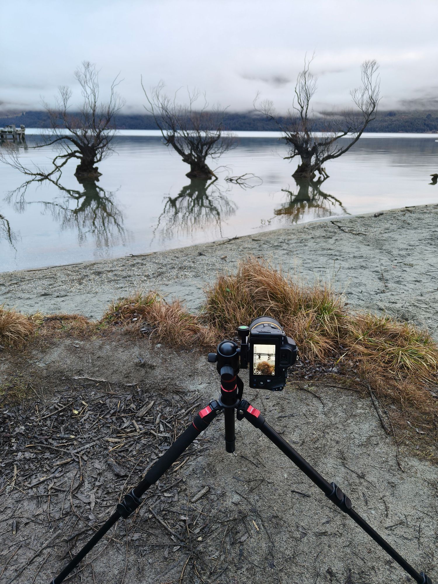 Canon camera on a tripod overlooking the lake and partially submerged trees near Glenorchy, New Zealand.