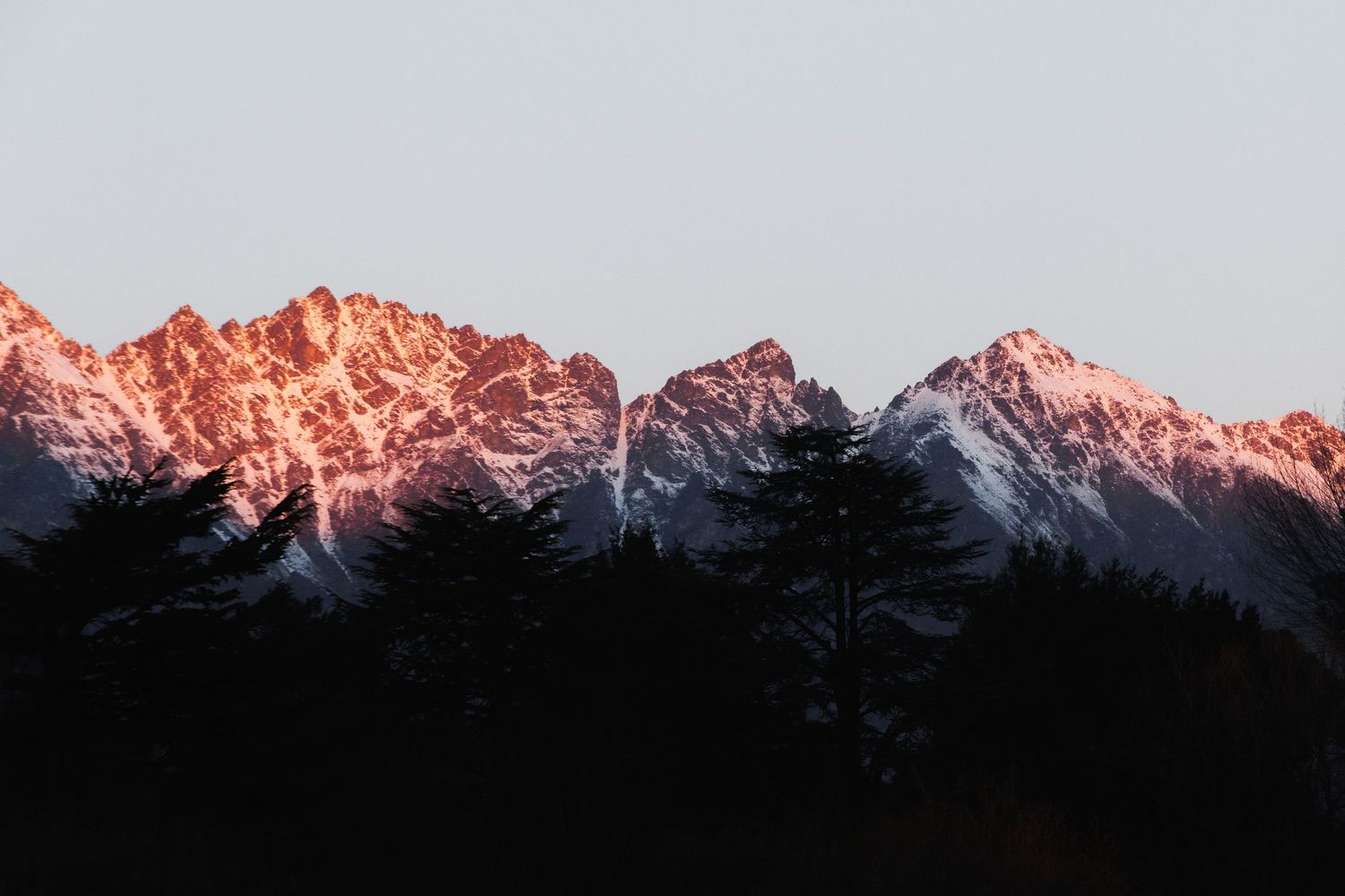 Warm sunset light falls across the snow-covered Remarkables above dark trees near Queenstown.