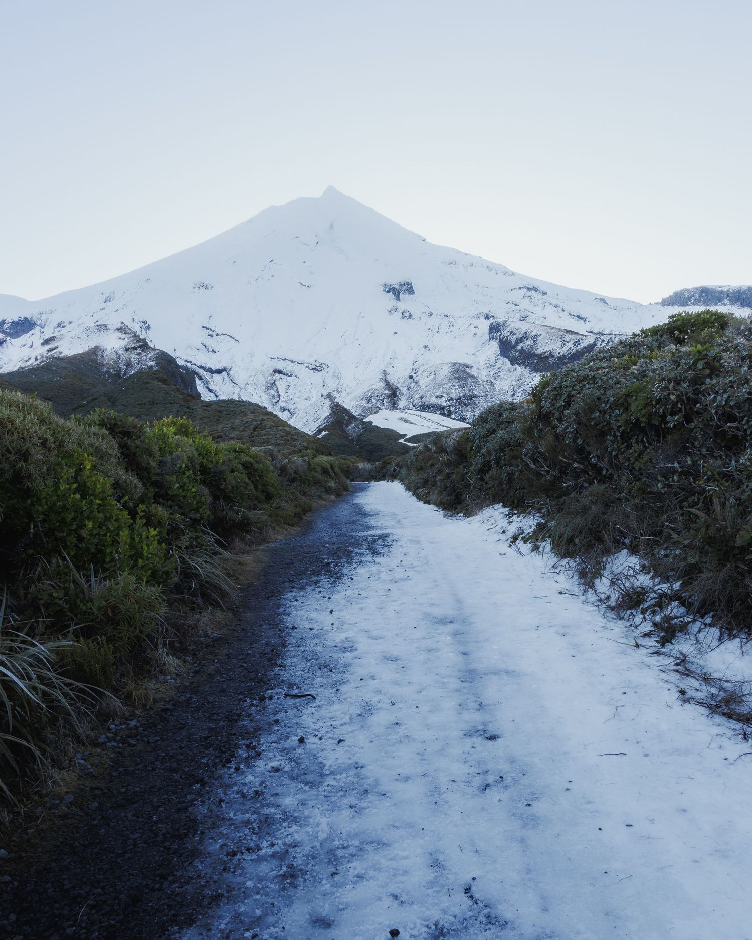 A snow-covered trail leads through alpine vegetation toward Mount Taranaki beneath a clear pale sky at Stratford Plateau.