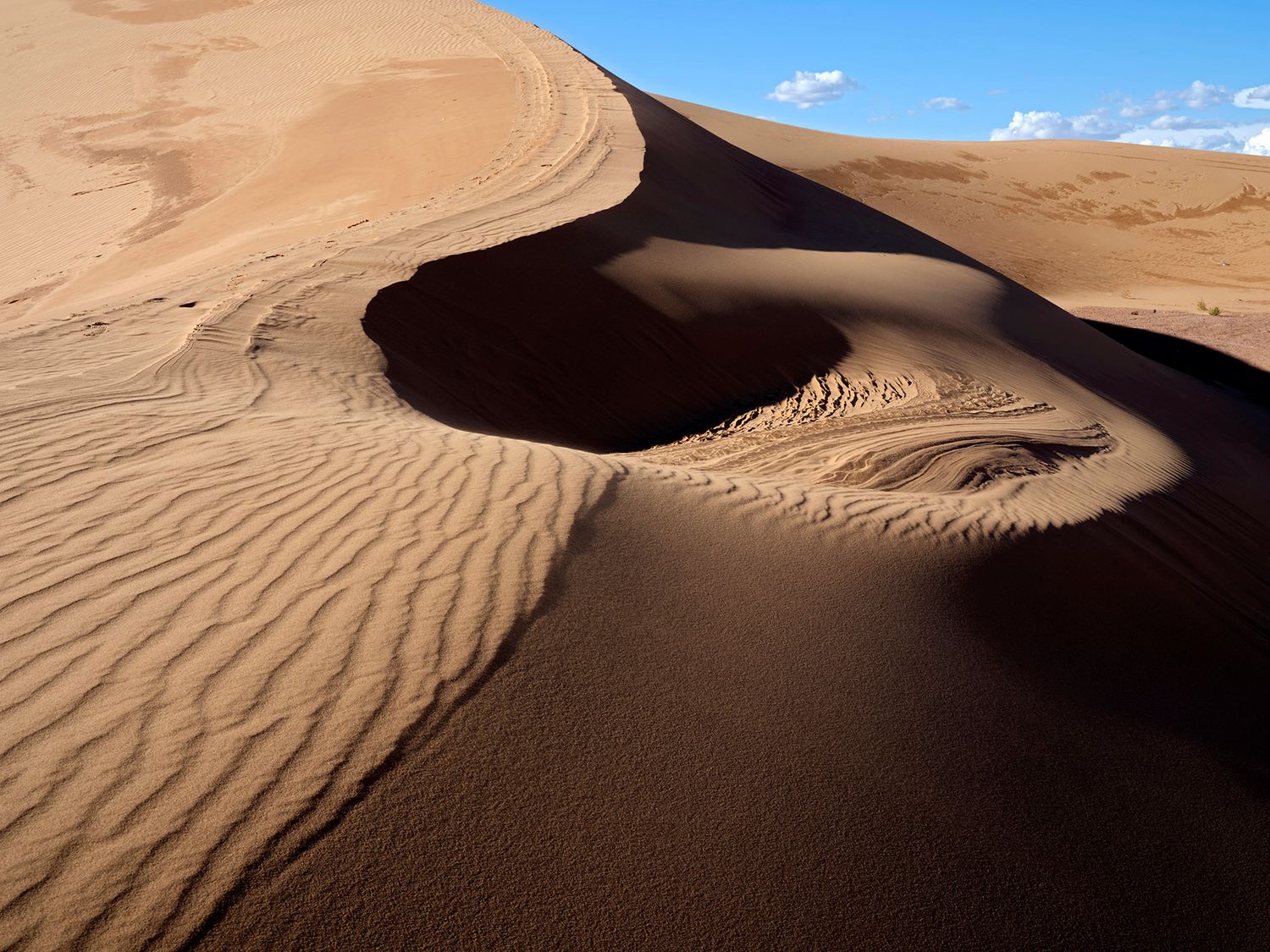 Sweeping sand dunes with dramatic shadows and rippled textures under a blue sky in a vast desert.