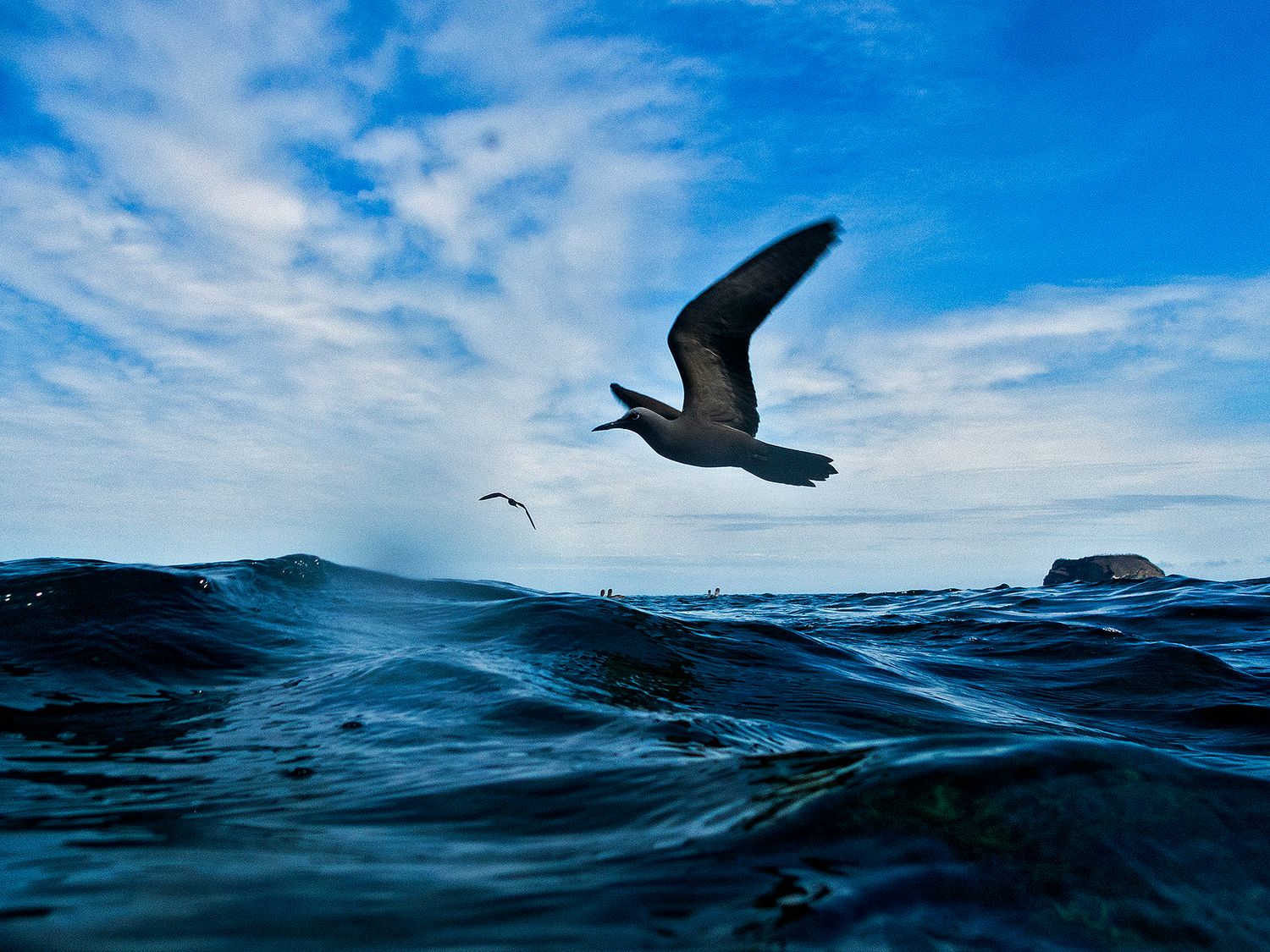 A seagull soars low over deep blue ocean waves under a partly cloudy sky.
