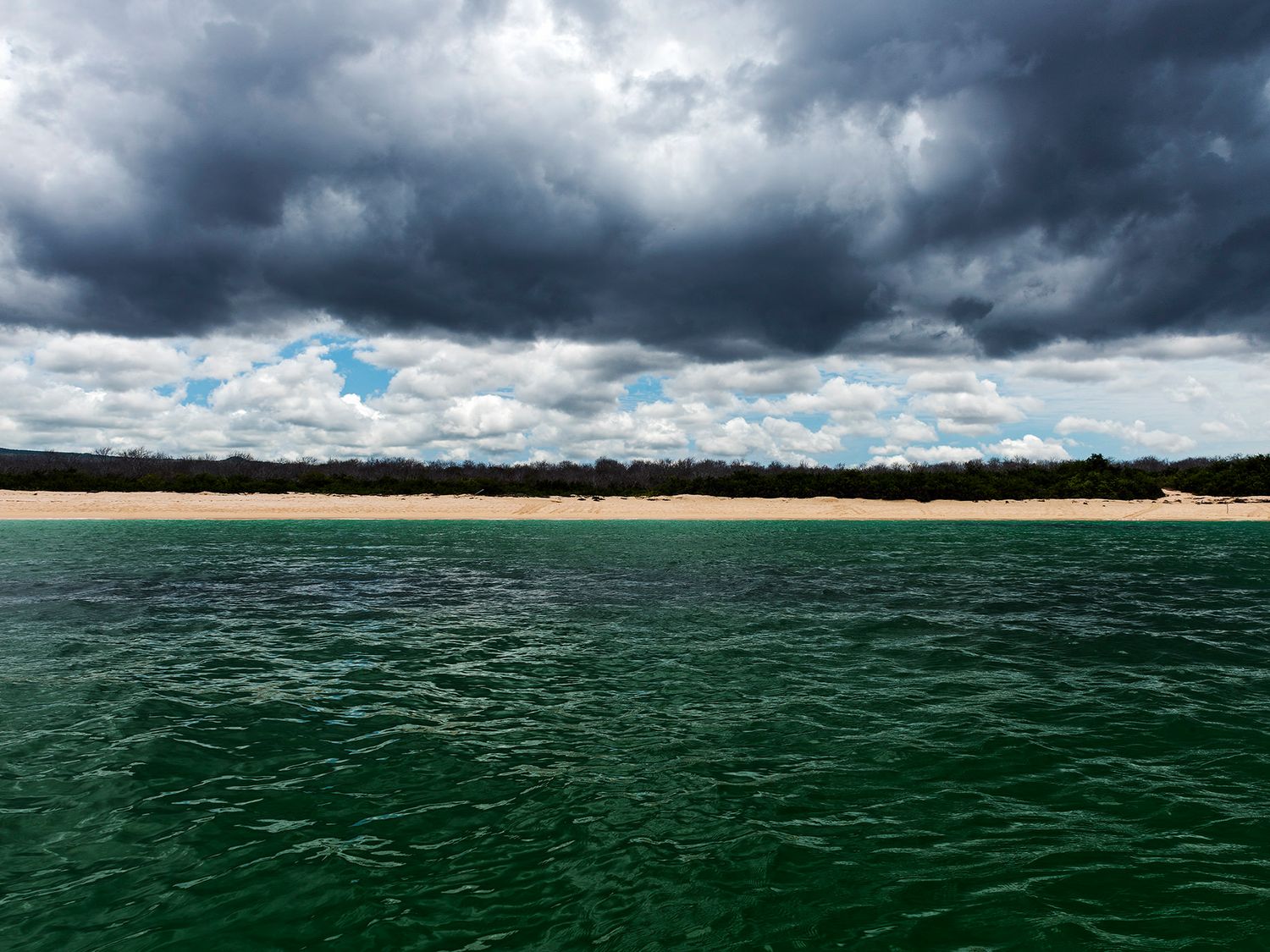 Dark storm clouds loom over a calm green sea with a sandy beach and tree line.