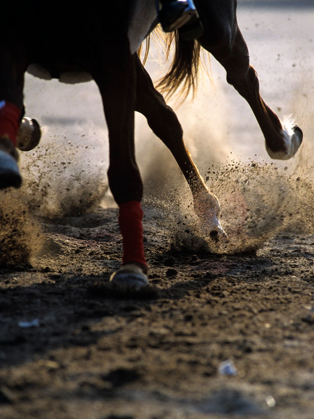 Close-up of horse hooves kicking up dirt and dust while galloping at high speed on a sandy track.