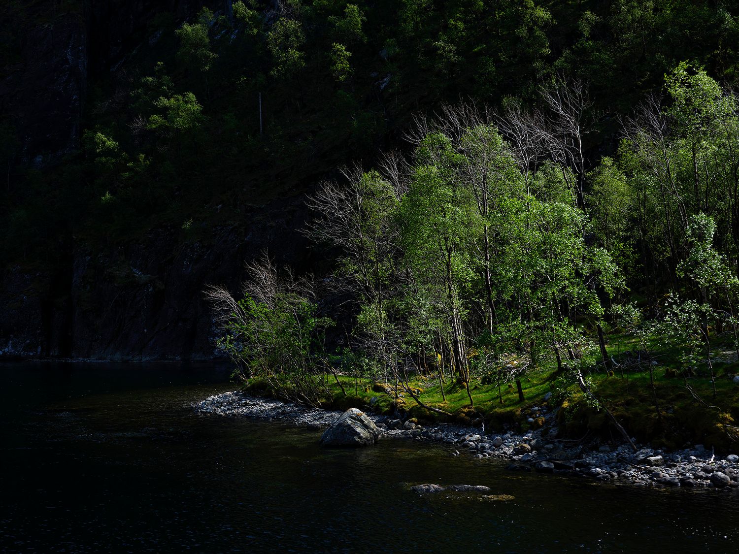 Lush green trees and rocky shoreline along a dark, tranquil river surrounded by dense forest.