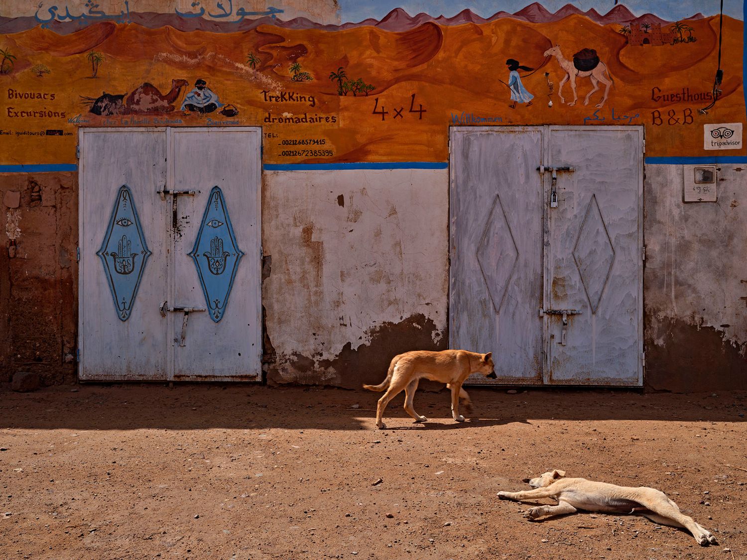 A stray dog walks past weathered white doors with diamond designs beneath a colorful desert mural in Africa.