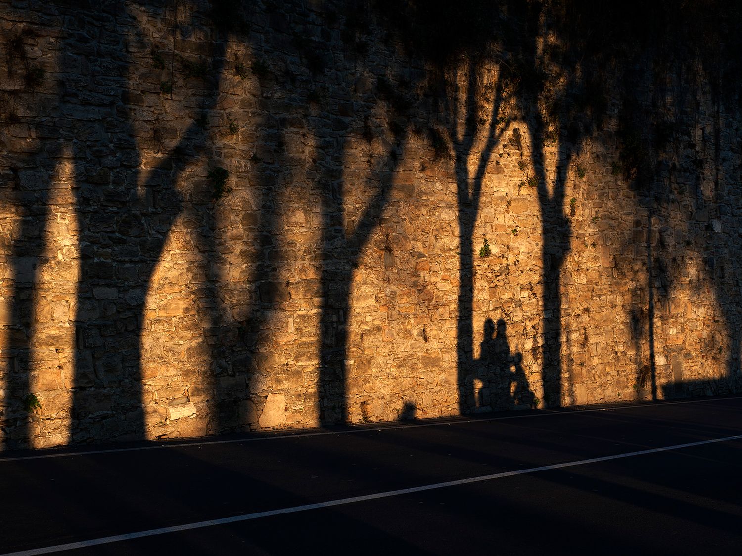 Tree shadows cast on an ancient stone wall at golden hour with silhouettes of two people walking.