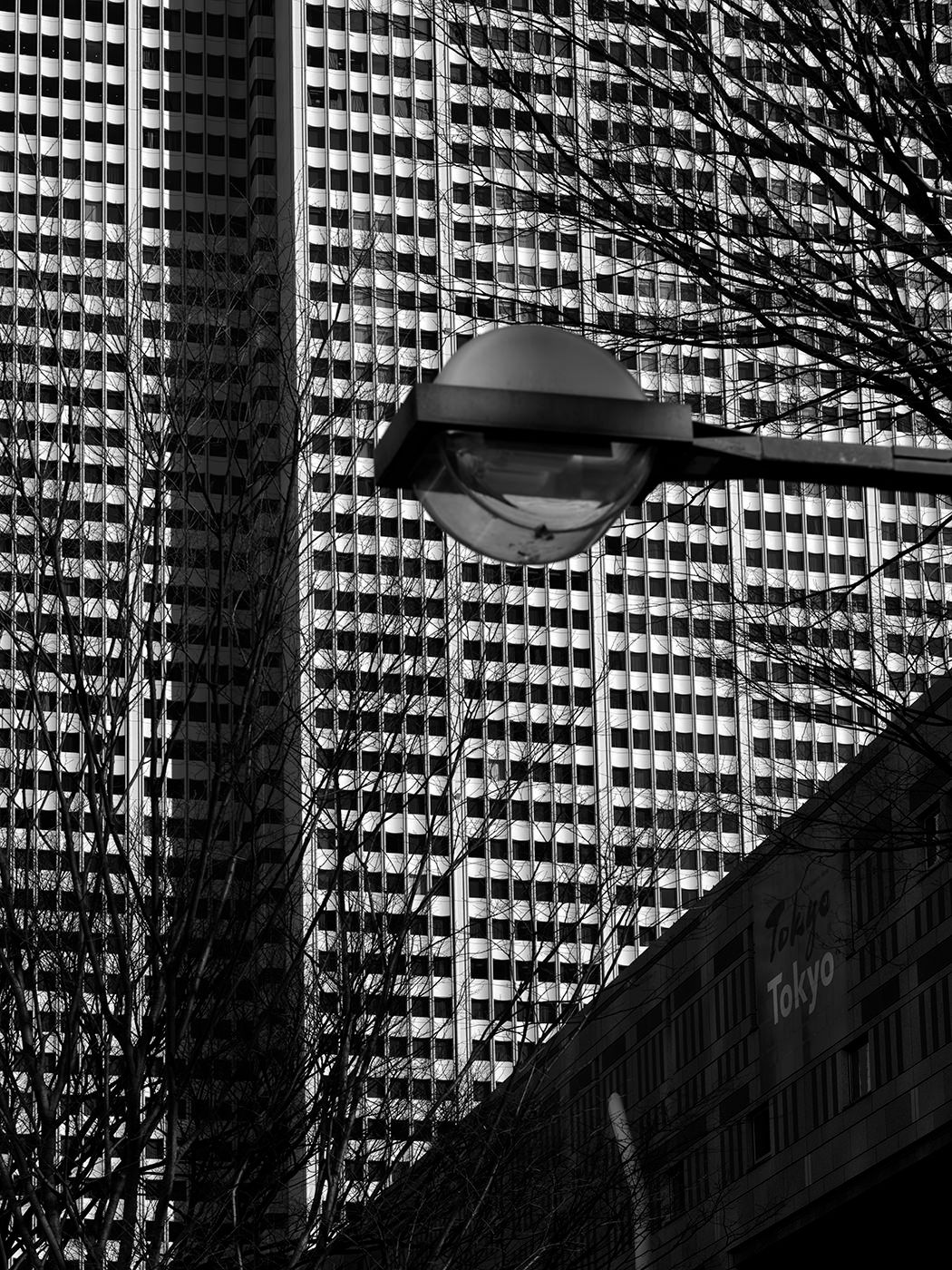 Black and white photo of a street lamp against a Tokyo skyscraper facade with bare tree branches.