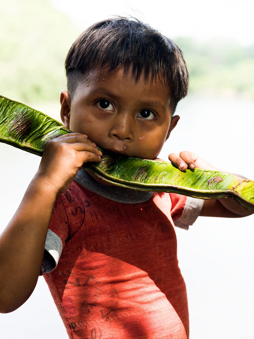 Young indigenous boy in red shirt biting on a large green leaf outdoors near water.
