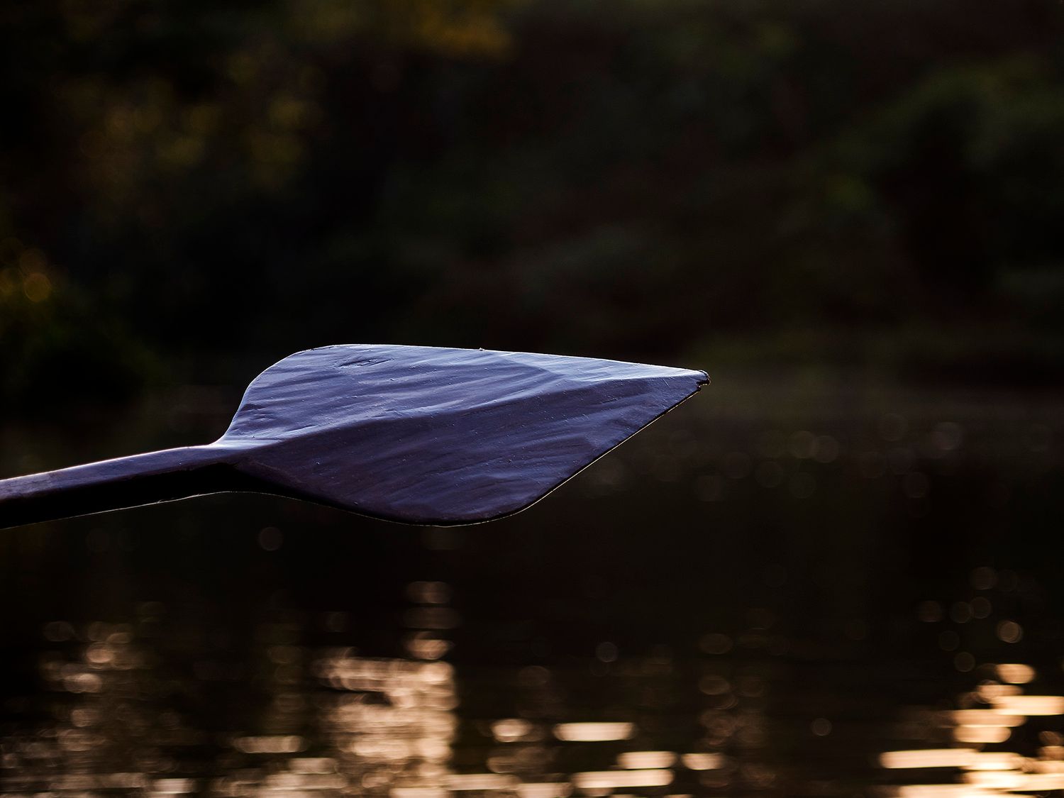 Close-up of a kayak paddle blade over calm reflective water at dusk with dark foliage background.