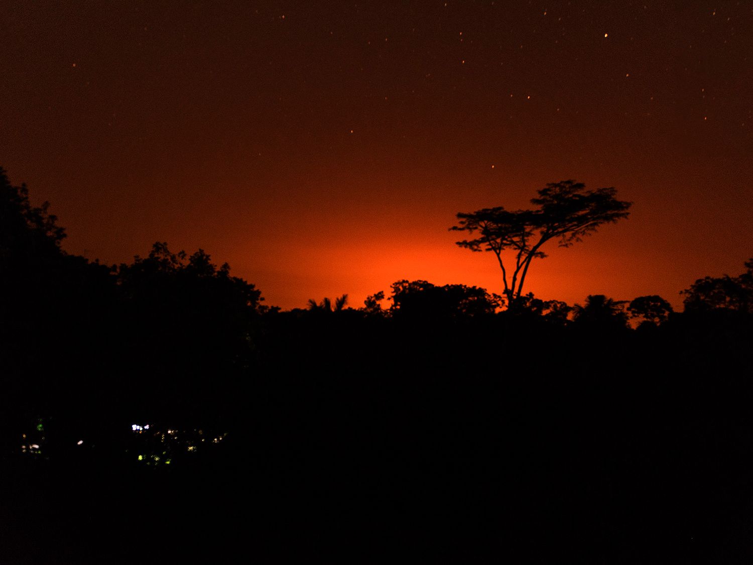 Dramatic African night sky with glowing orange horizon silhouetting acacia trees and tropical foliage under a star-filled sky.