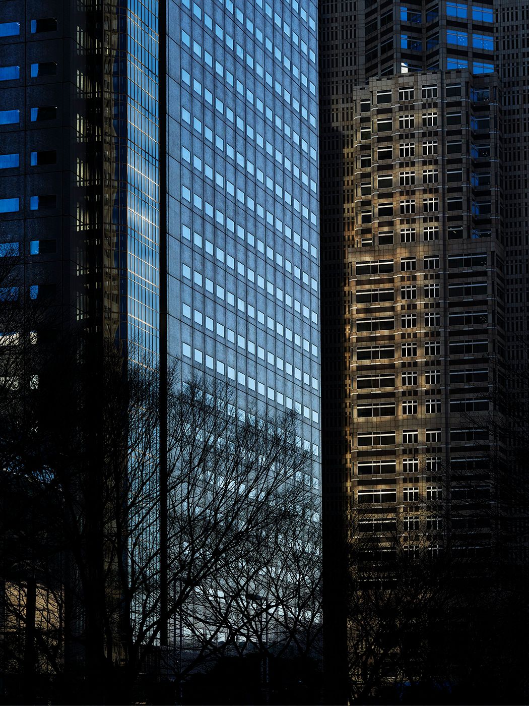 Towering glass and concrete skyscrapers reflect bare winter trees in an urban cityscape at dusk.