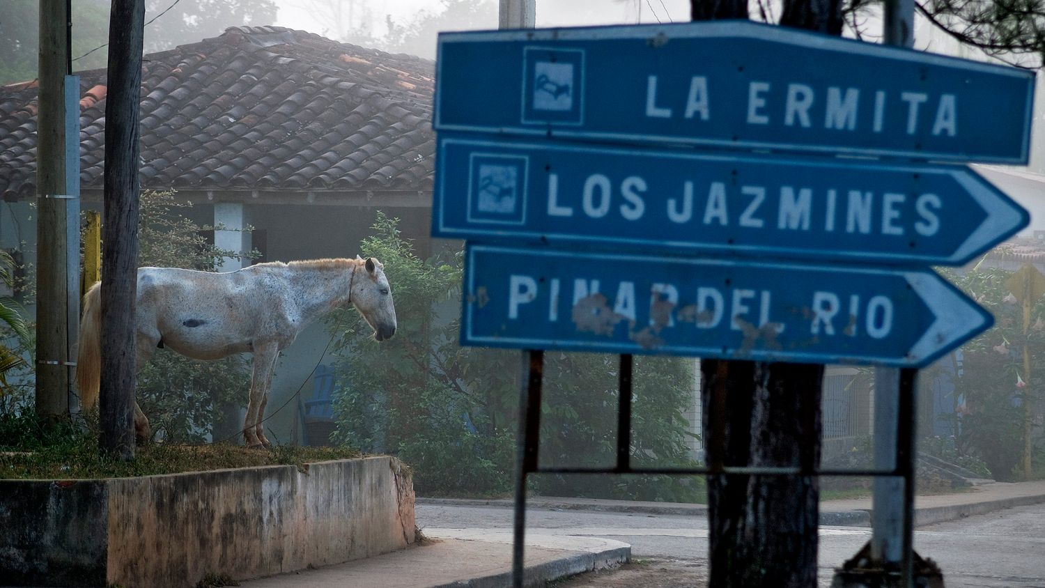 A white horse stands beside a road sign pointing to La Ermita, Los Jazmines, and Pinar del Rio.