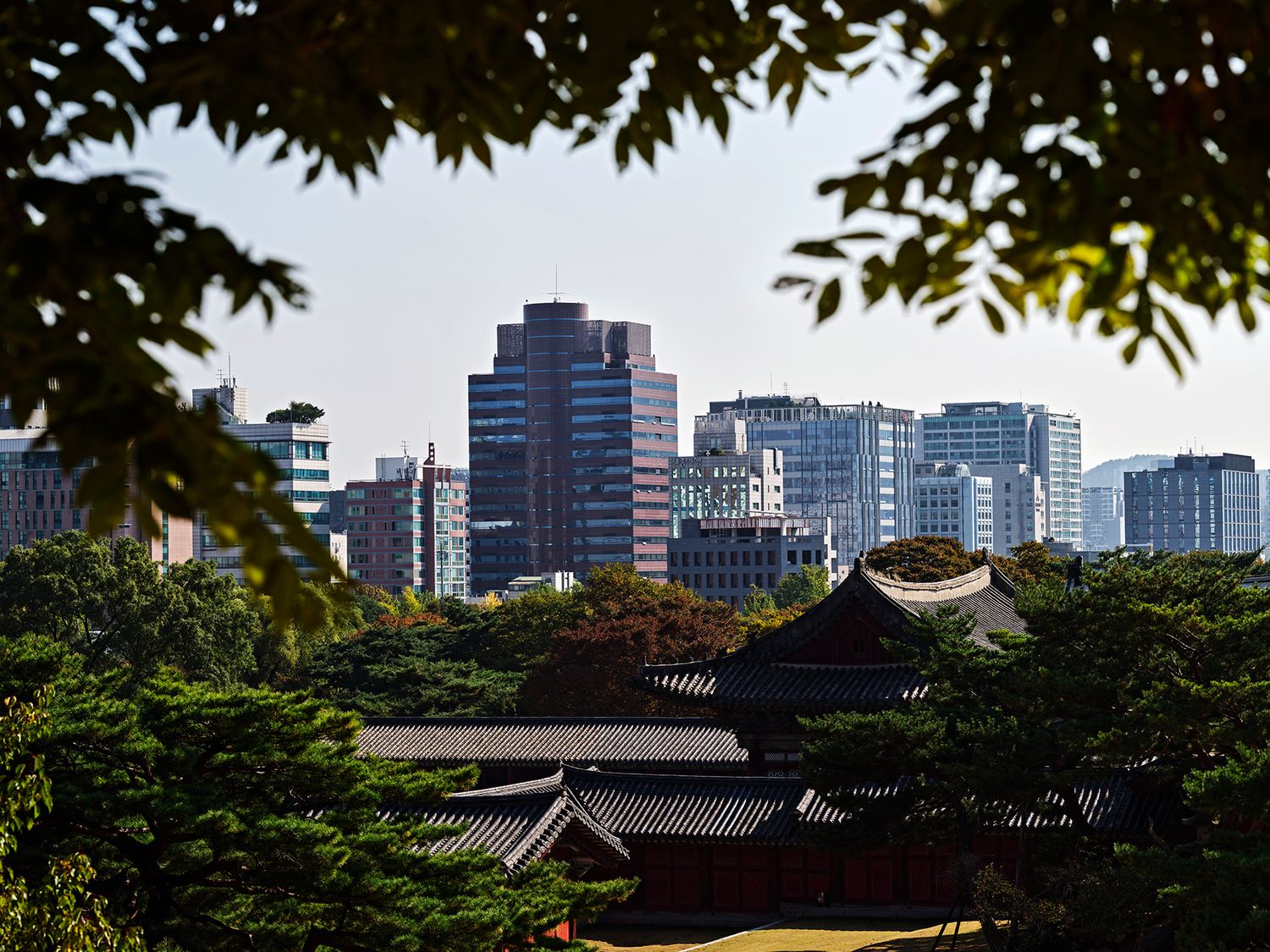 Traditional Korean palace rooftops contrast with modern Seoul skyscrapers framed by lush green trees under a clear blue sky.