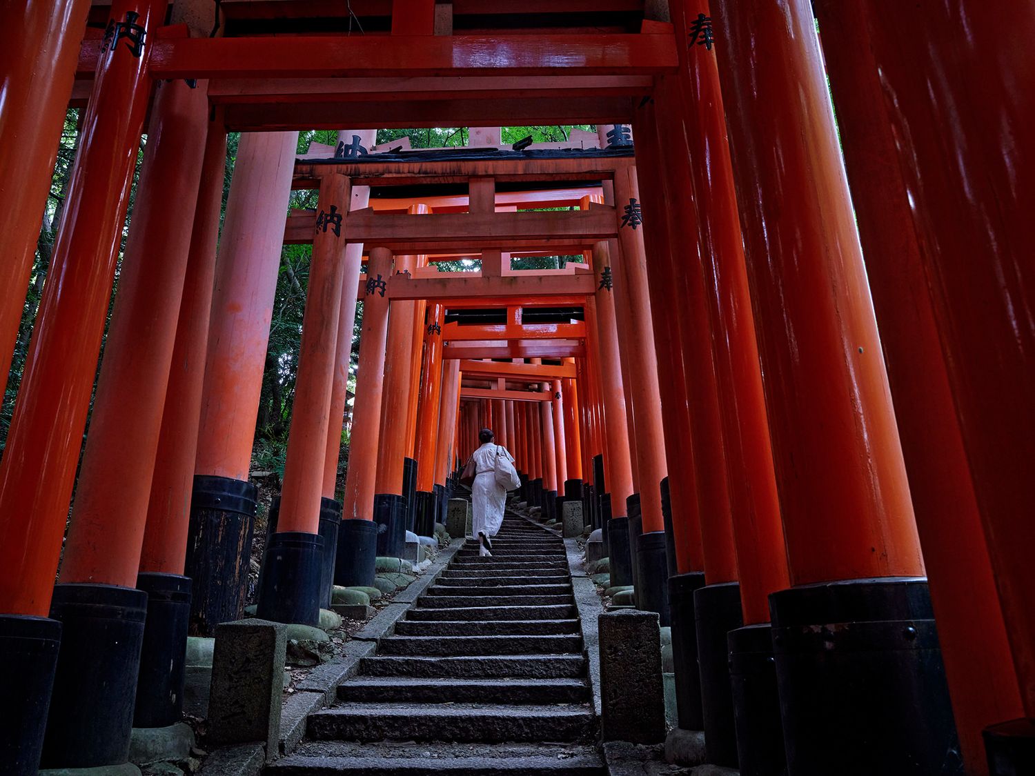 Person in white kimono walking through vibrant red torii gates at Fushimi Inari Shrine, Kyoto, Japan.