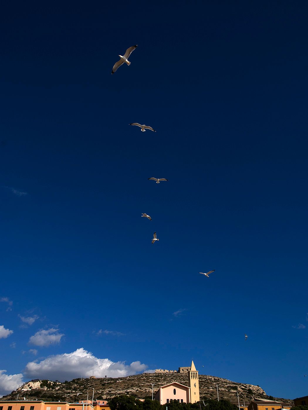 A diagonal line of seagulls soaring over a Mediterranean coastal town with a church tower against a vivid blue sky.