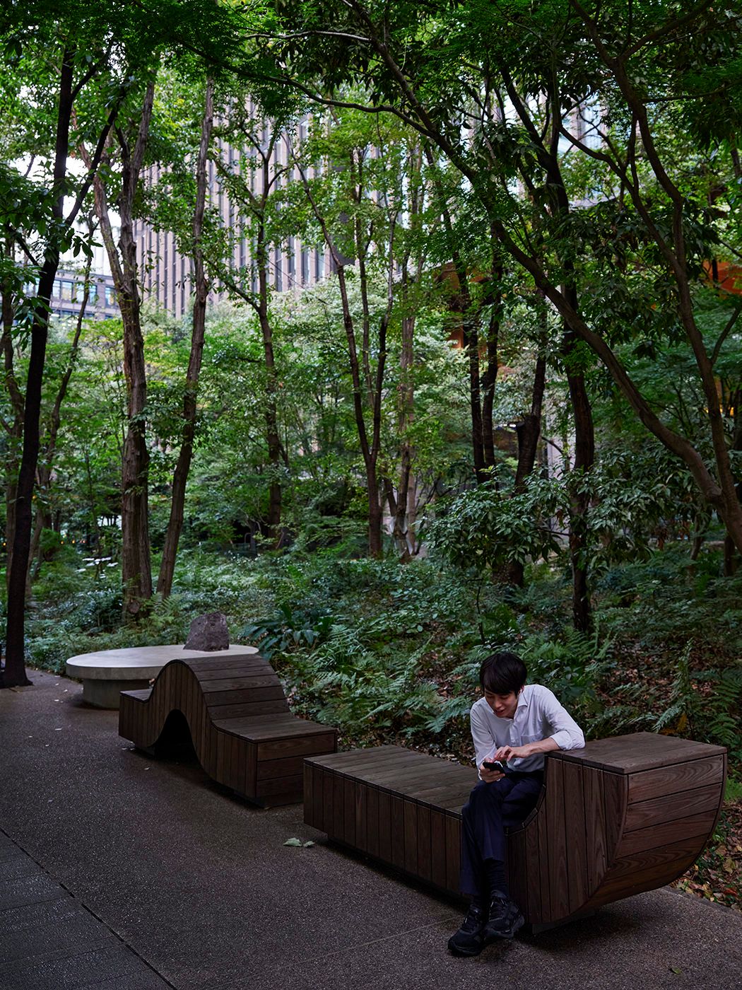 Man sitting on wooden bench using phone in lush urban park with sculptural seating and tall green trees.