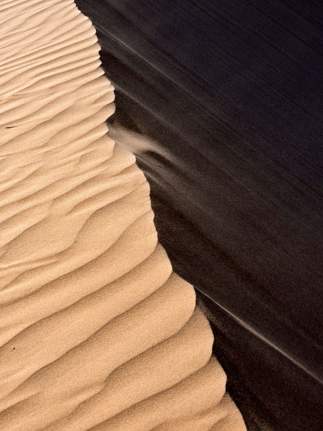 Close-up of golden sand dune ridges casting dramatic shadows in a desert landscape.