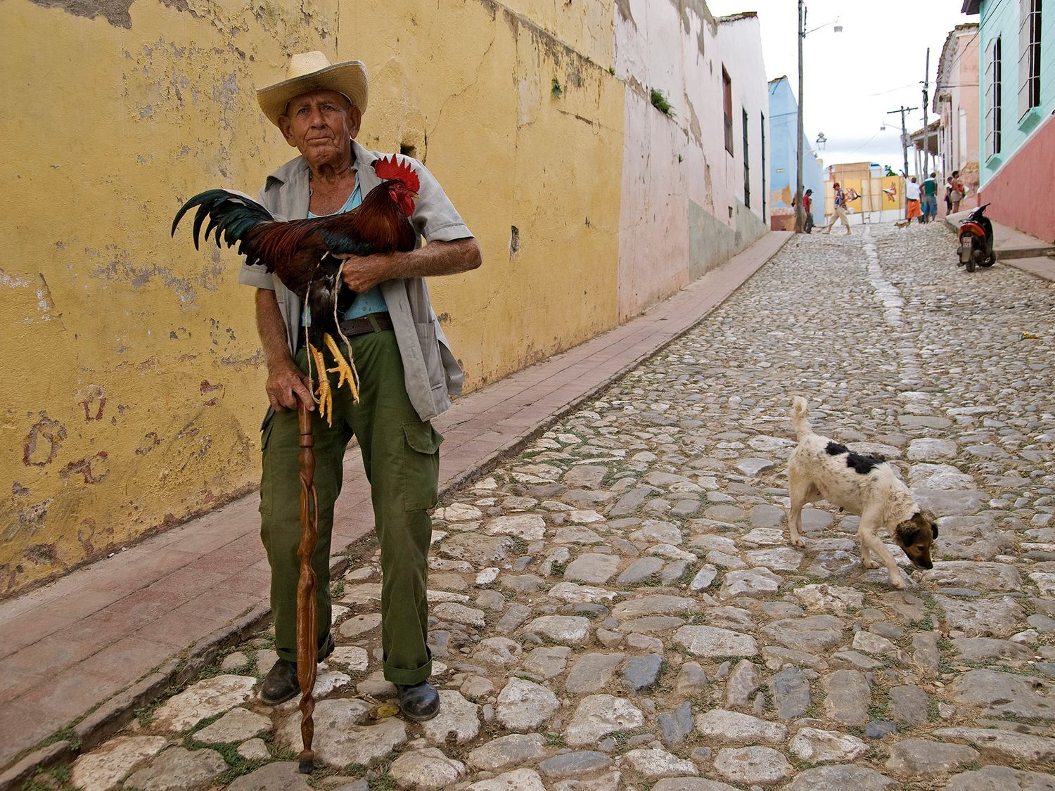 Elderly man holding a rooster on a cobblestone street in Trinidad, Cuba, with a small dog nearby and colorful buildings.