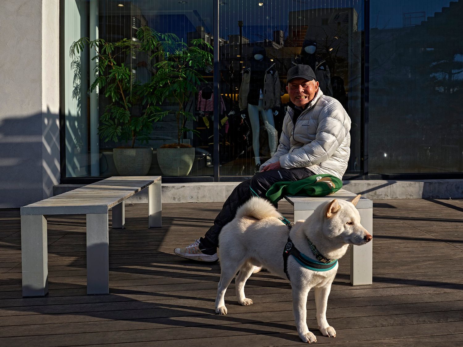 Person in white puffer jacket sitting on bench with white Shiba Inu dog on sunny outdoor terrace.