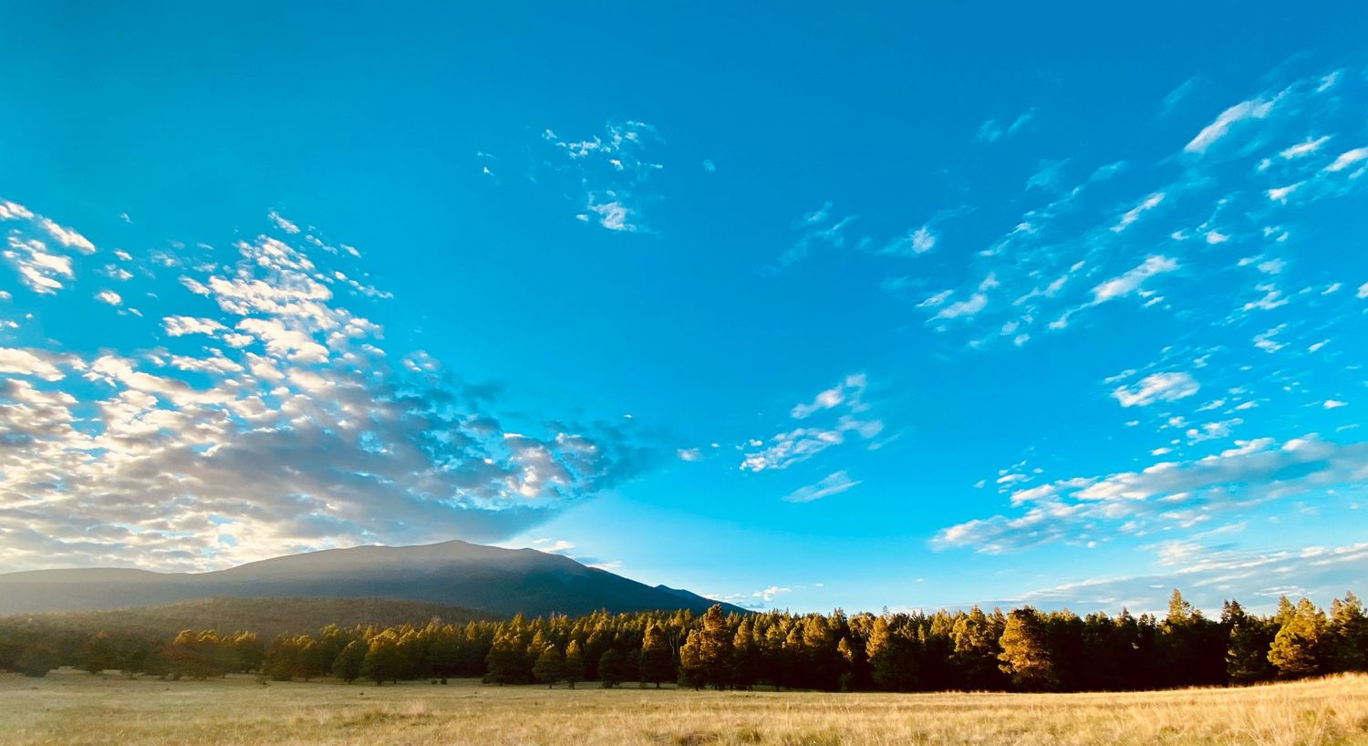 Golden hour panoramic landscape with blue sky, wispy clouds, pine forest, and misty mountain meadow.