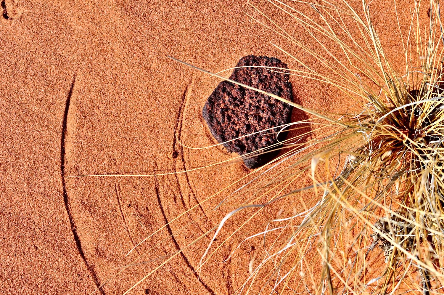 Aerial view of red desert sand with a dark rock and dry grass creating circular patterns.